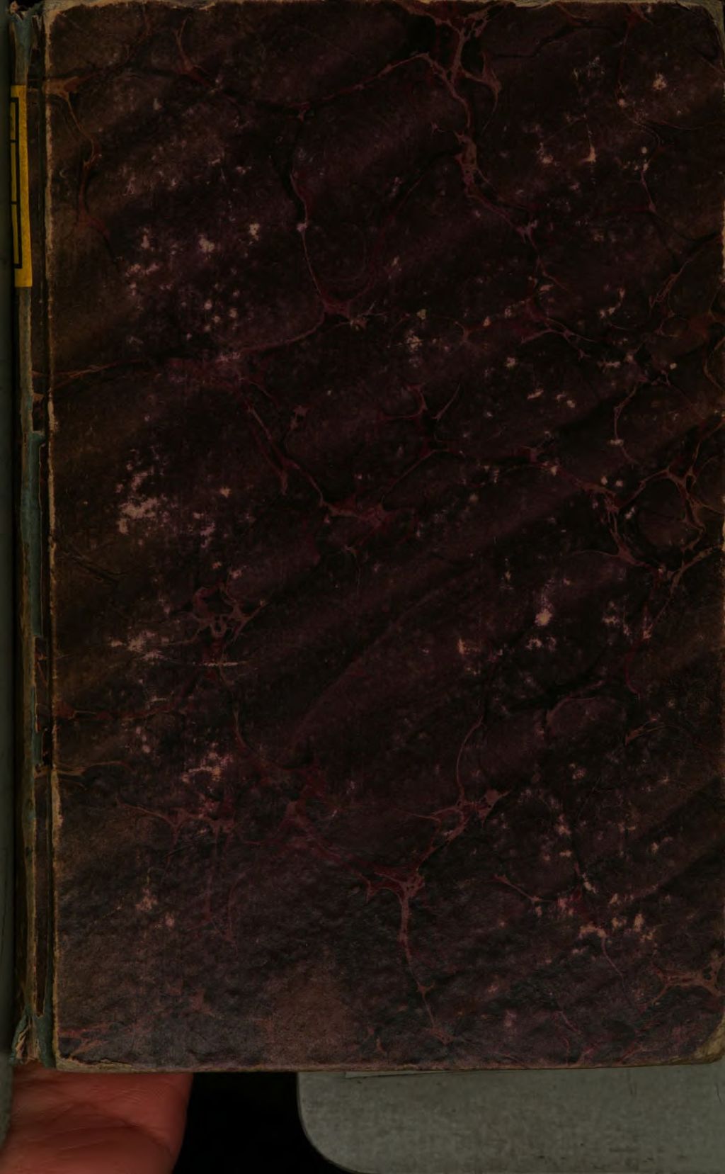 Cover of Die Naturgeschichte der Gespenster