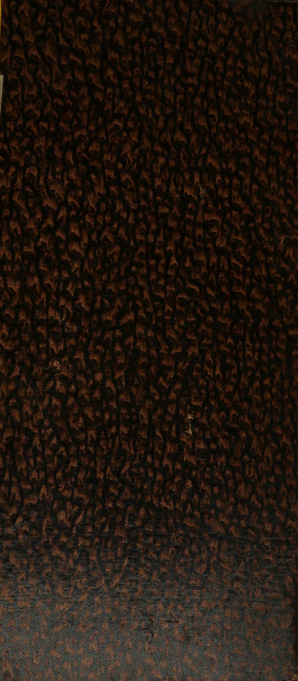 Cover of Das Geisterklopfen in Bergzabern