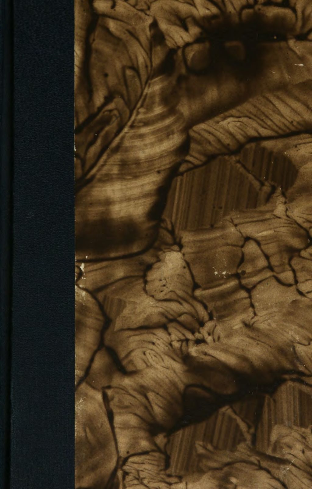 Cover of Le livre des médiums ou guide des médiums et des évocateurs contenant l'enseignement spécial des esprits sur la théorie de tons les genres de manifestations