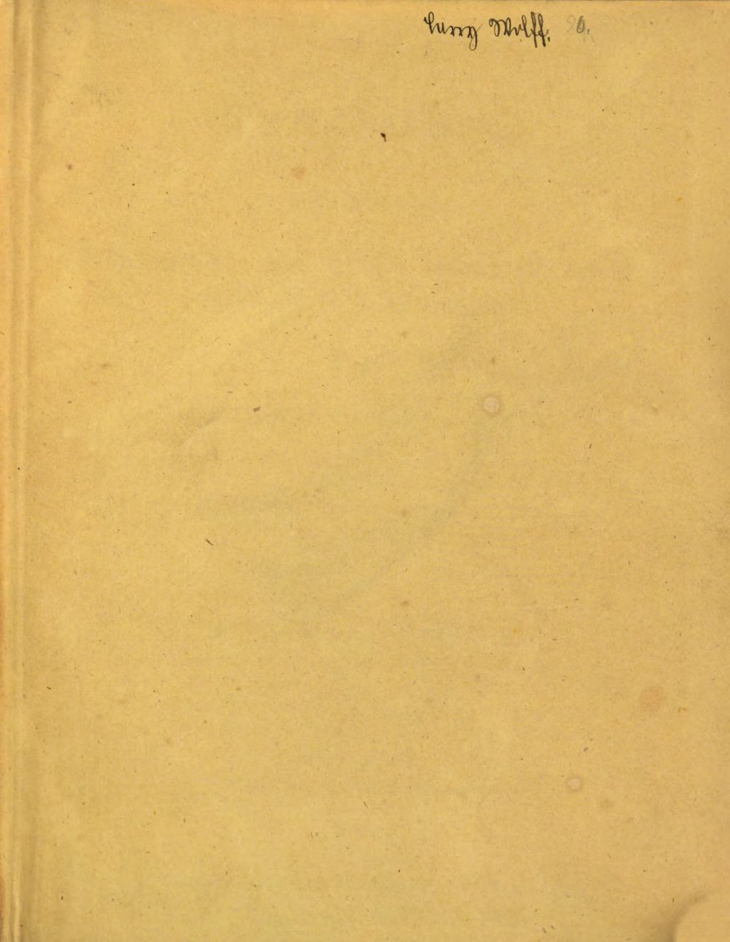 Cover of Trugbilder