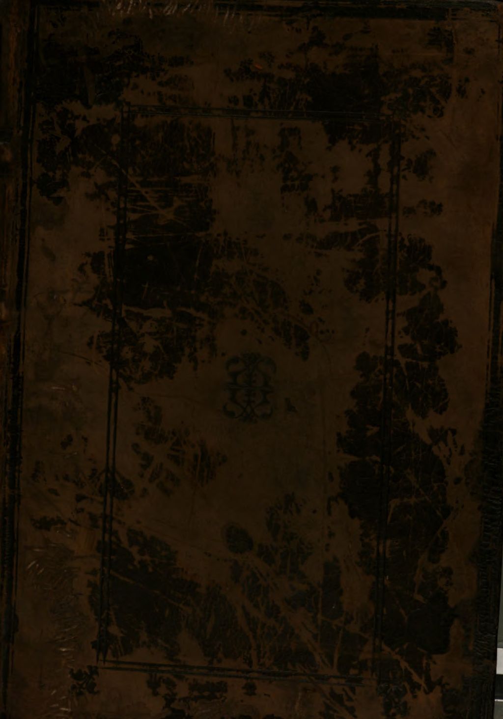 Cover of Verae Alchemiae Artisqve Metallicae, Citra Aenigmata, Doctrina, Certvsqve Modus