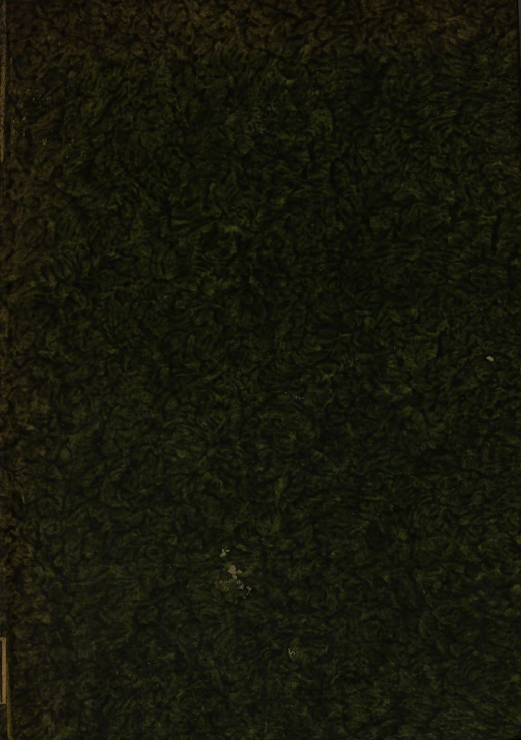 Cover of Das Regiment von den himmlischen Staet