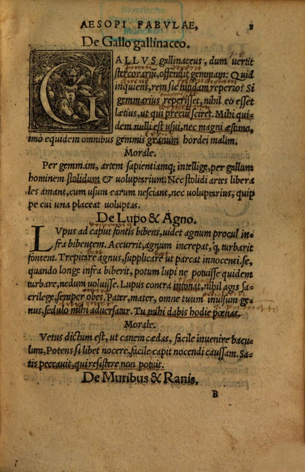 Cover of Aesopi Phrygis Fabvlae quarum interpretes hi sunt: Guilelmus Goudanus, Hadria. Barlan. ... Nicolaus Gerbellius Phorcensis ... Item Vita Aesopi ex Max. Planude