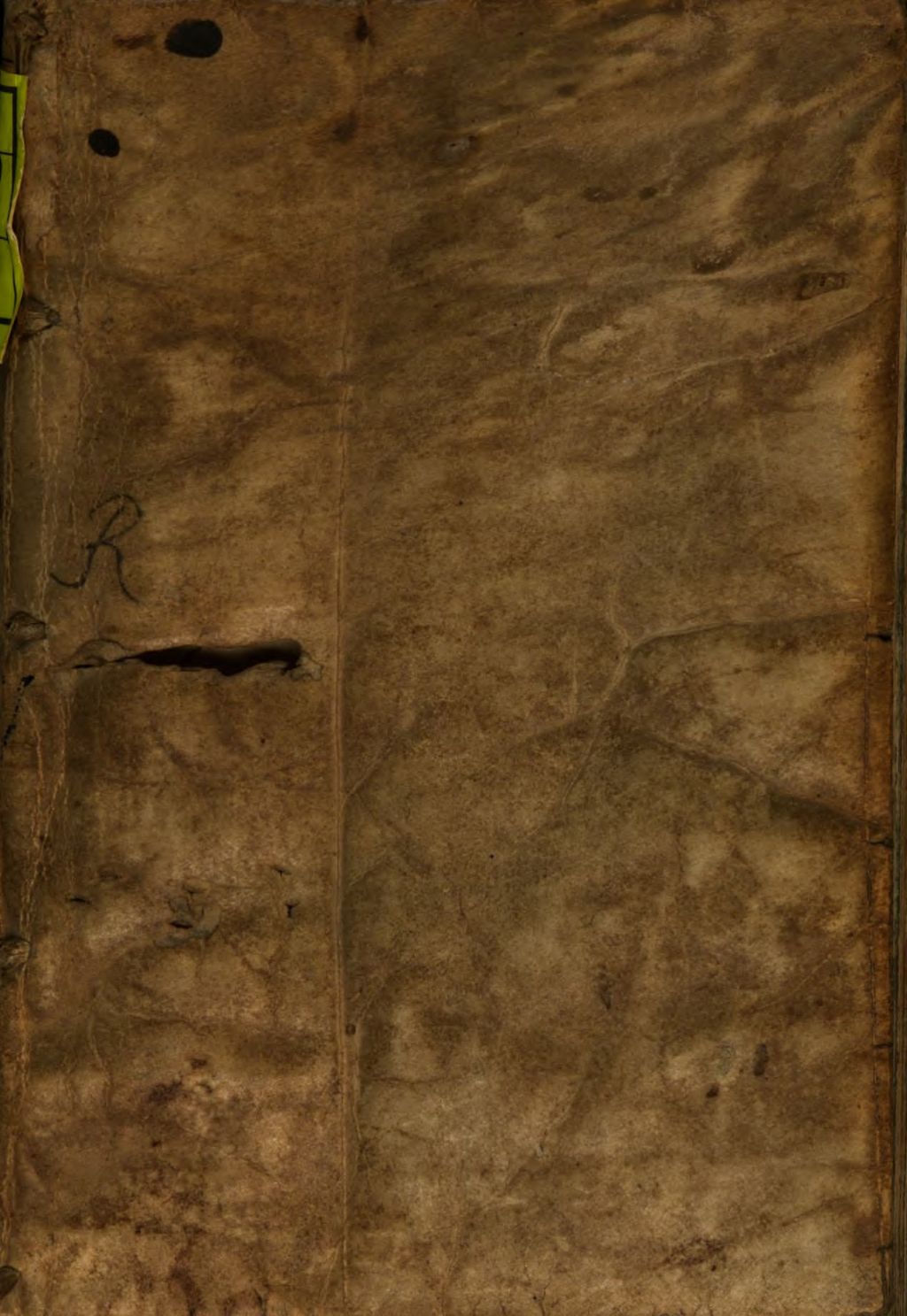 Cover of Summa perfectionis magisterii in sua natura