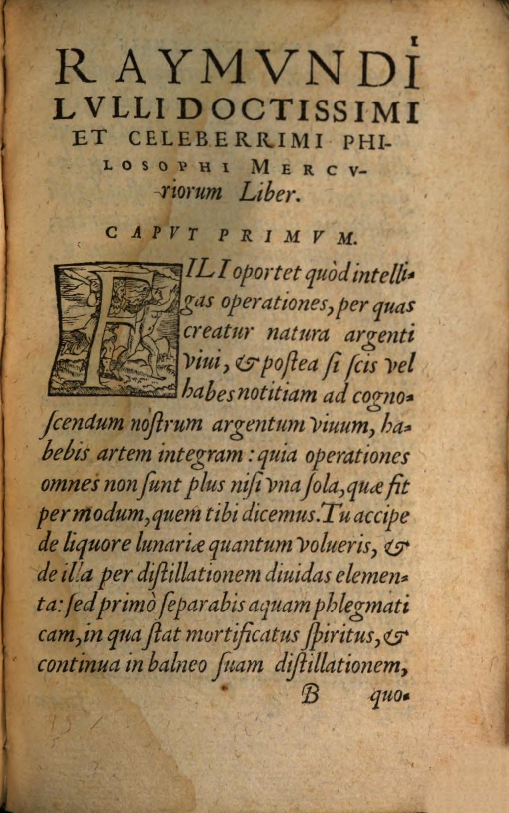 Cover of Mercuriorum liber