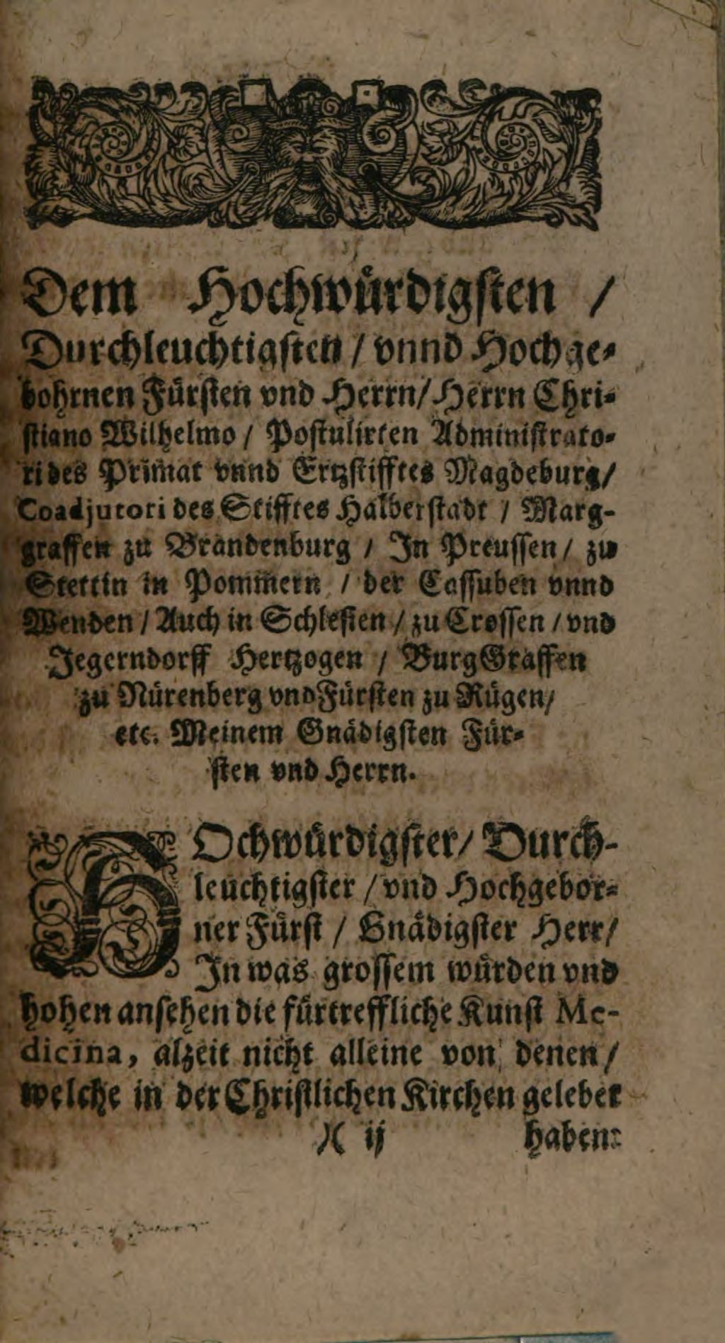 Cover of Ein edler vnd nützlicher Hermetischer oder chymischer Discurs