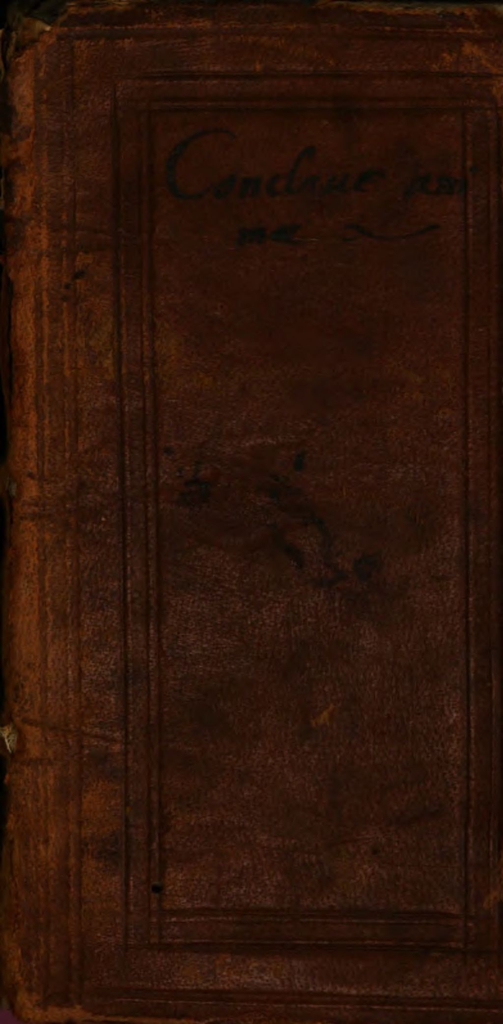 Cover of Conclave animae fidelis