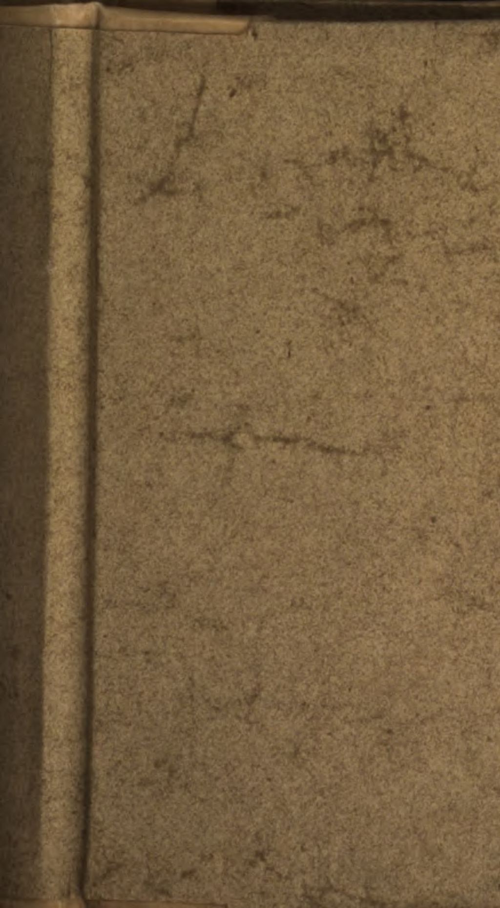 Cover of L' Image de vertu, et Saincte vie de Virge Marie