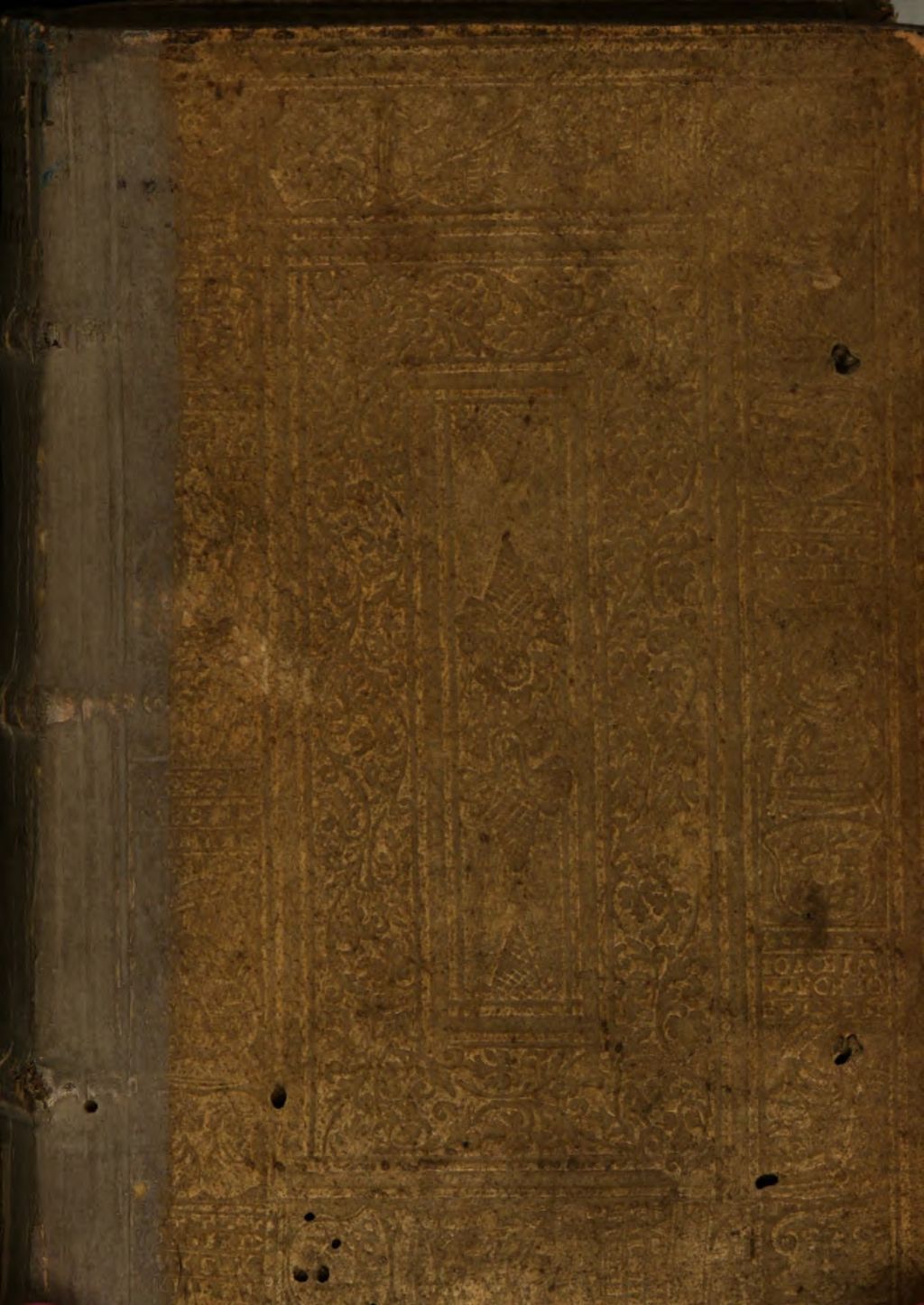 Cover of De castitate libri septem
