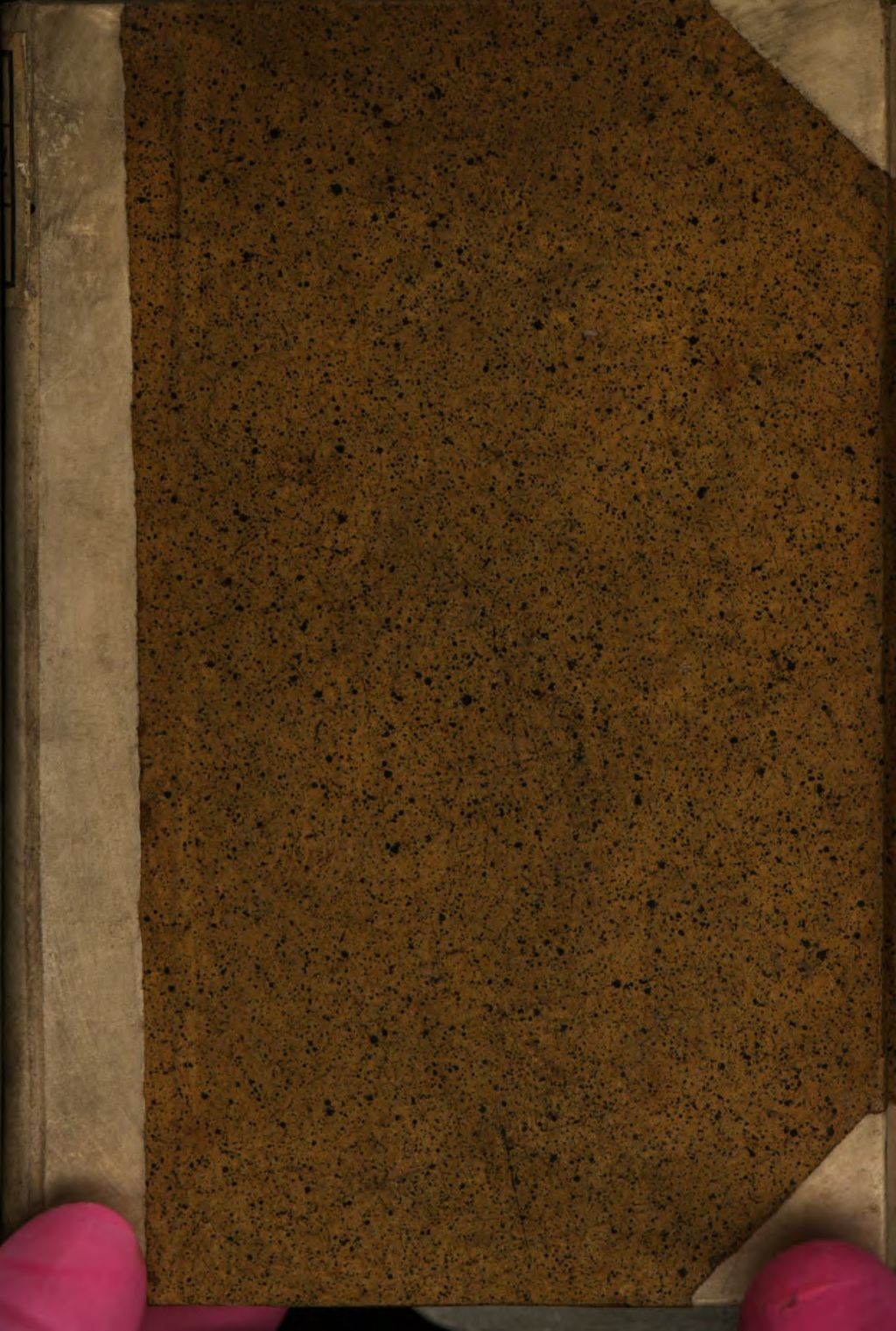 Cover of De Templo Salomonis Mystico Tractatvs Insignis
