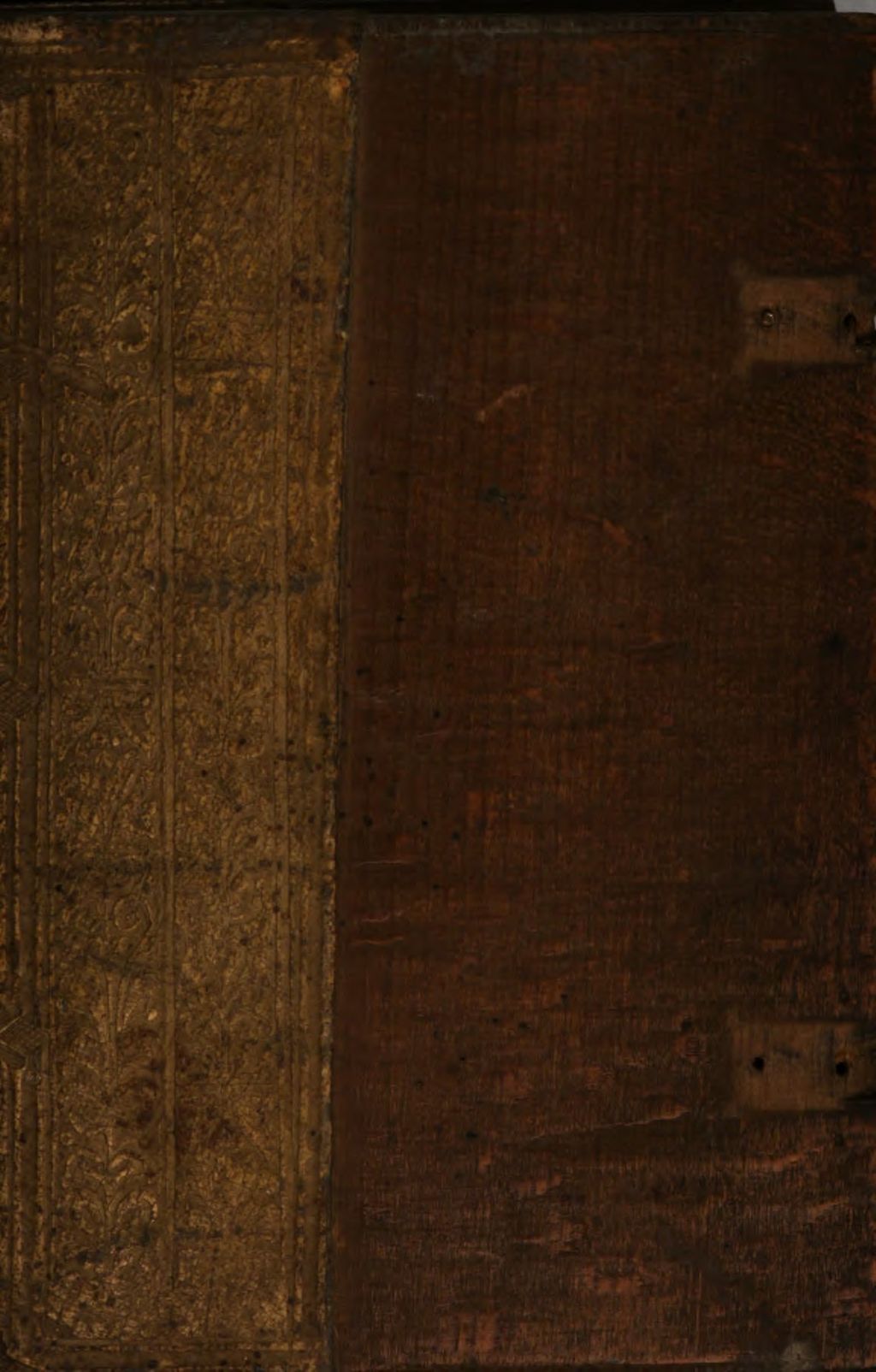 Cover of Speculum peregrinarum quaestionum