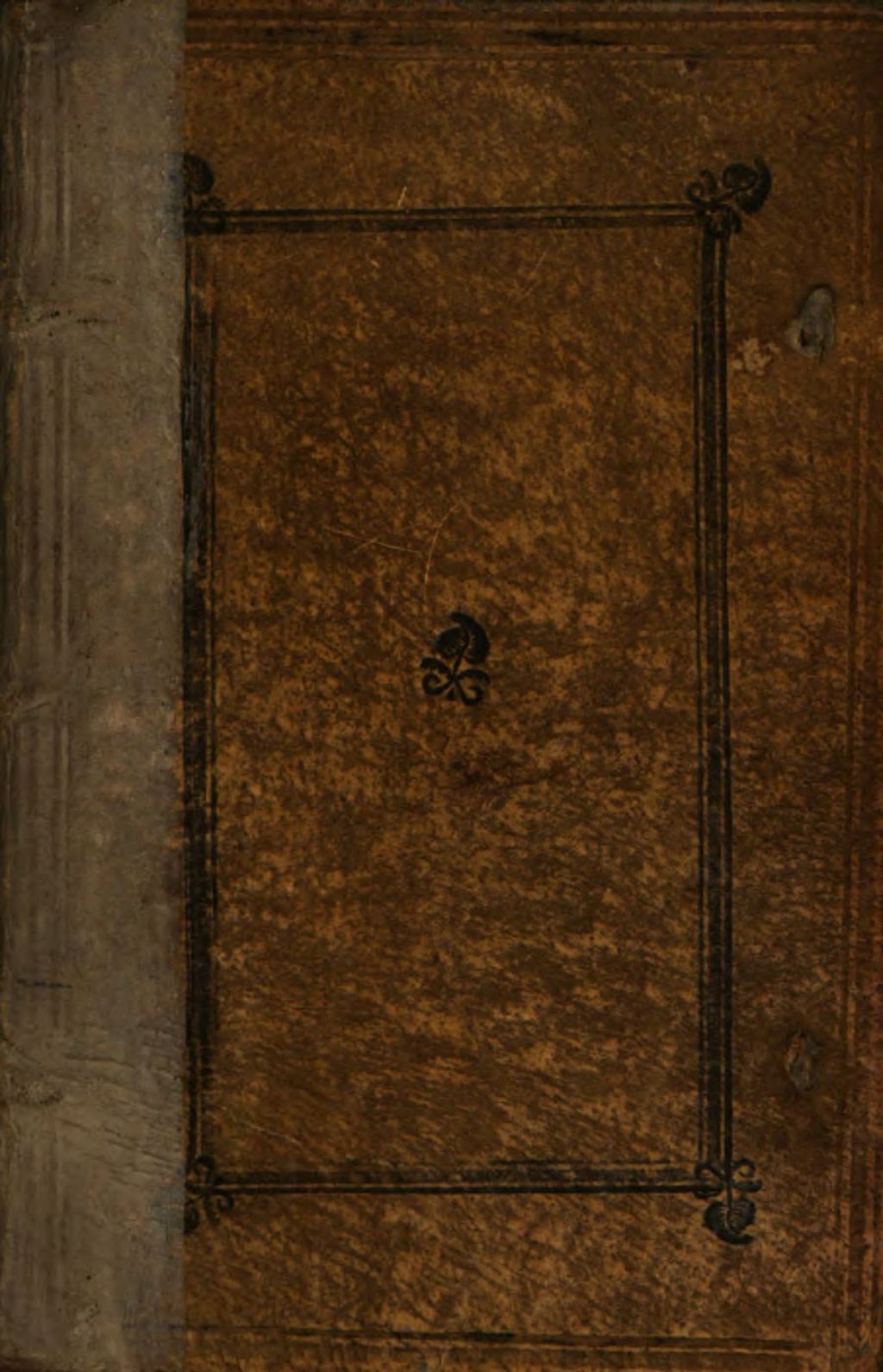 Cover of Viola animae