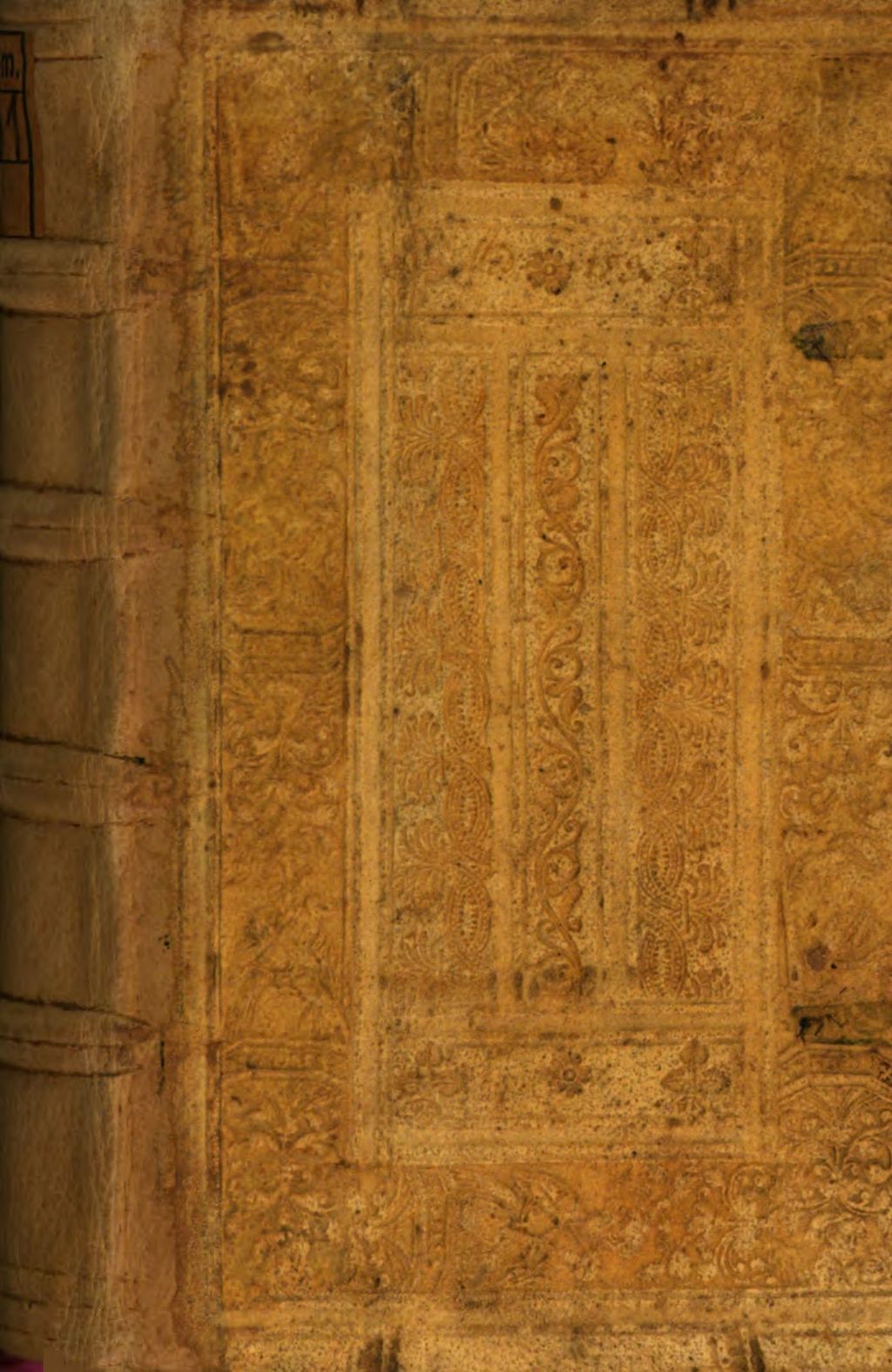 Cover of De occultis naturae miraculis
