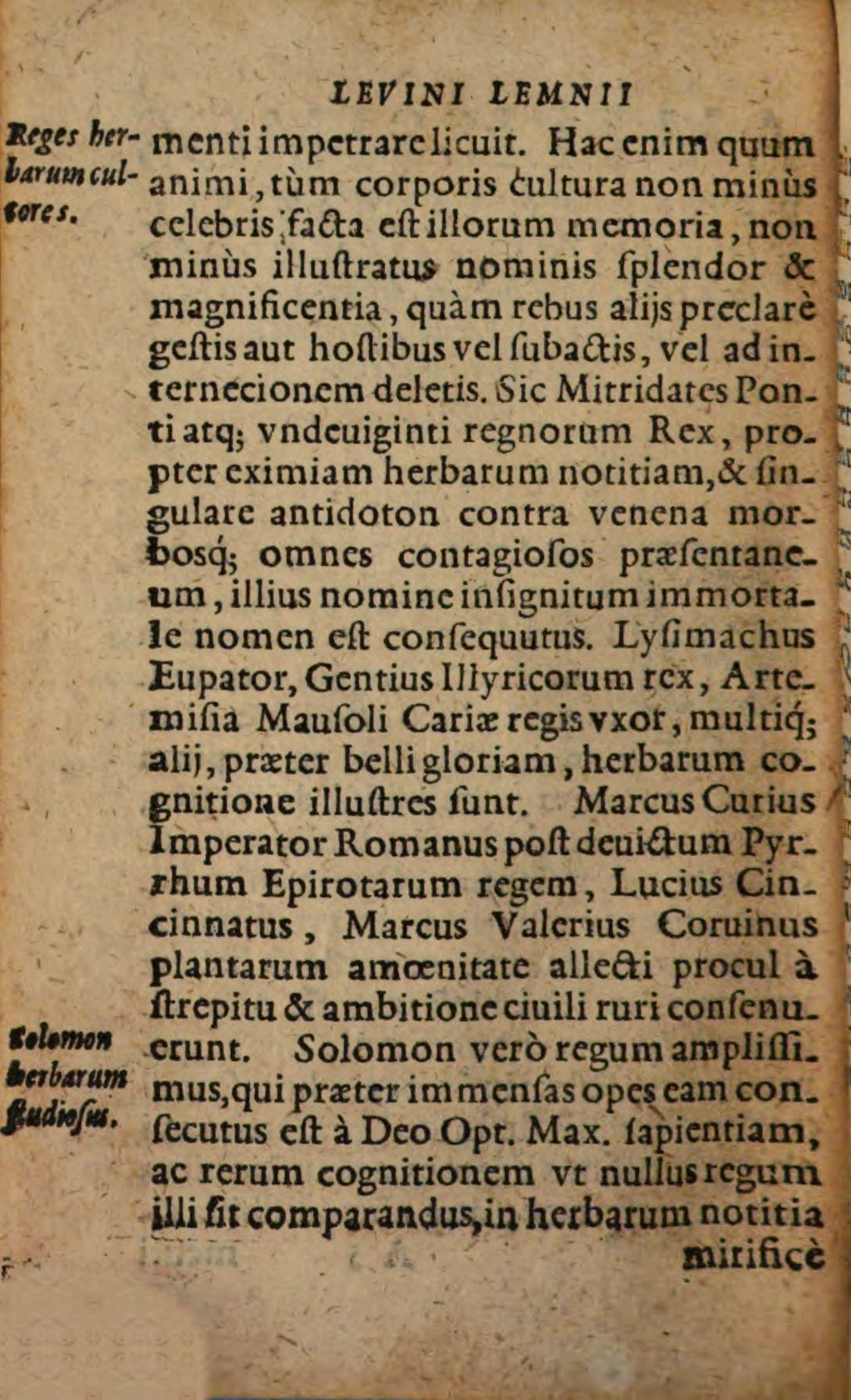 Cover of Similitudinum ac parabolarum quae in Bibliis ex herbis atque arboribus desumuntur dilucida explicatio