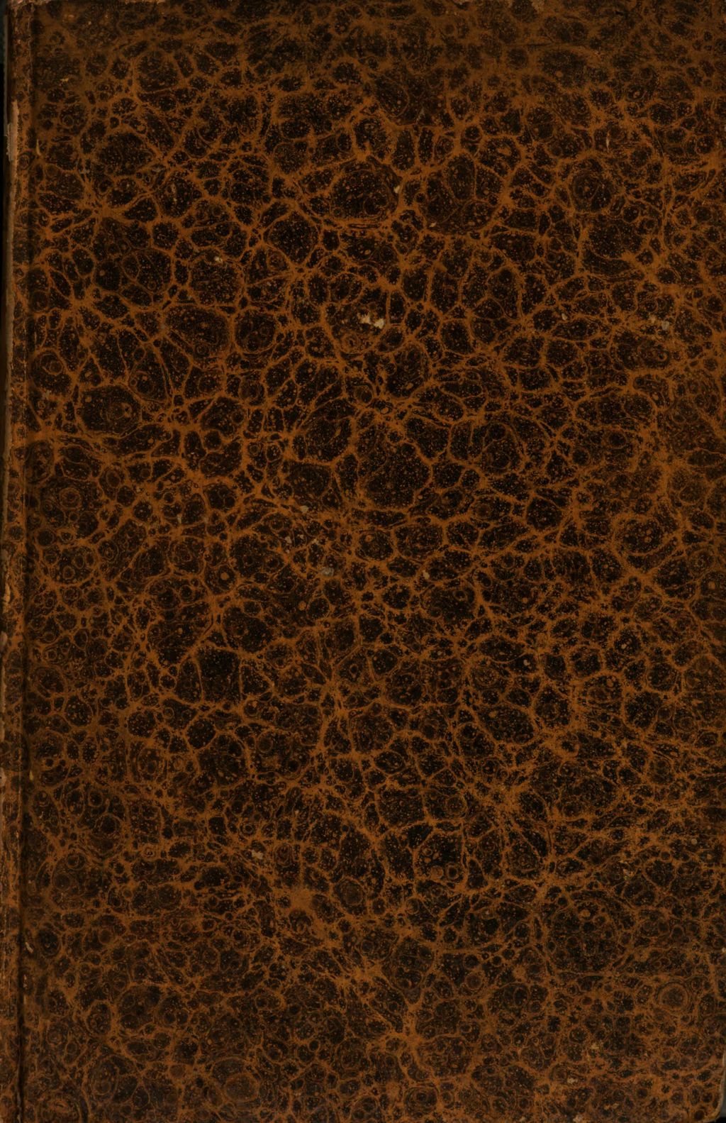 Cover of Theologiae mysticae, mirabilium scilicet et inscrutabilium operum Dei lucida demonstratio