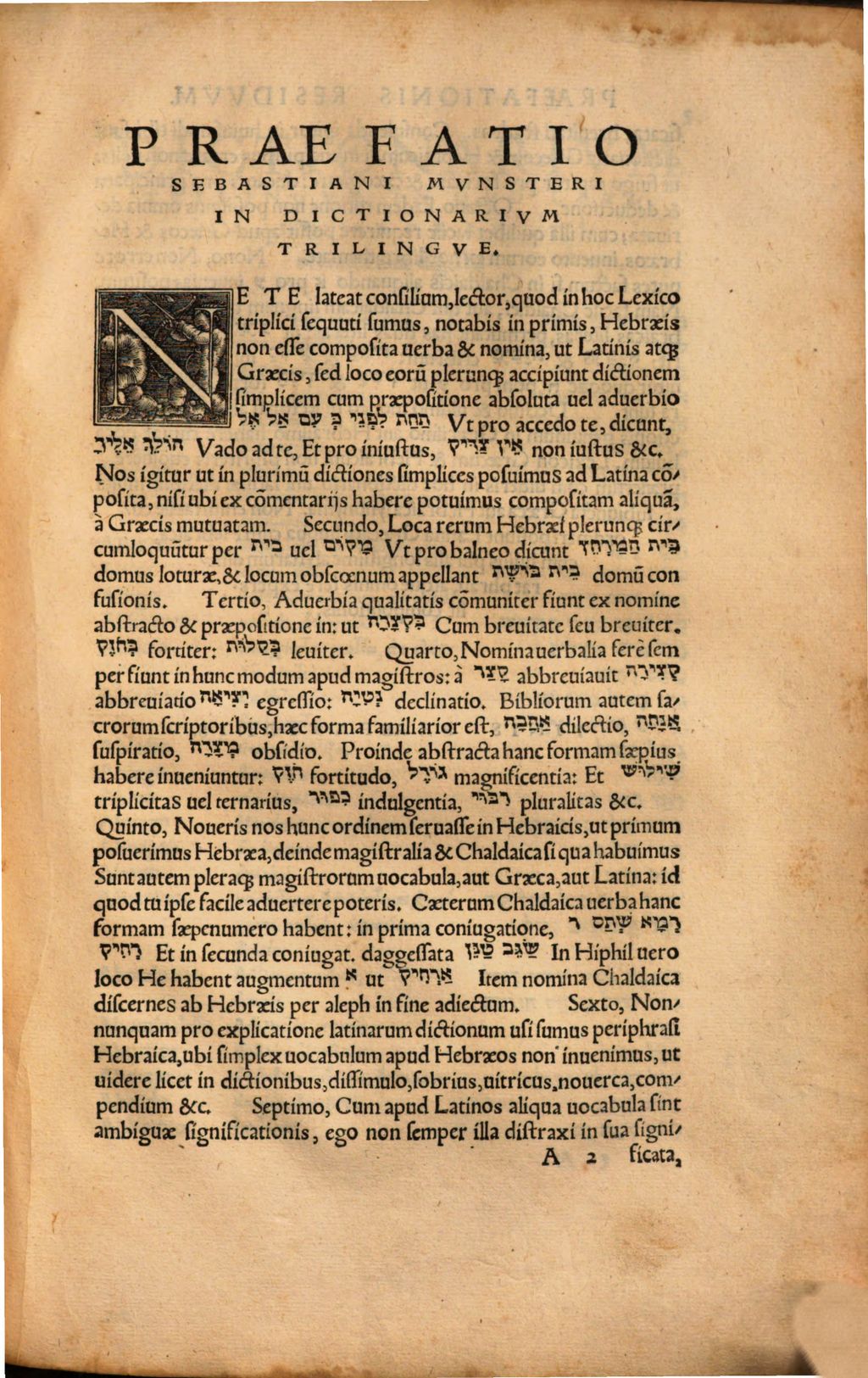 Cover of Dictionarivm Trilingve
