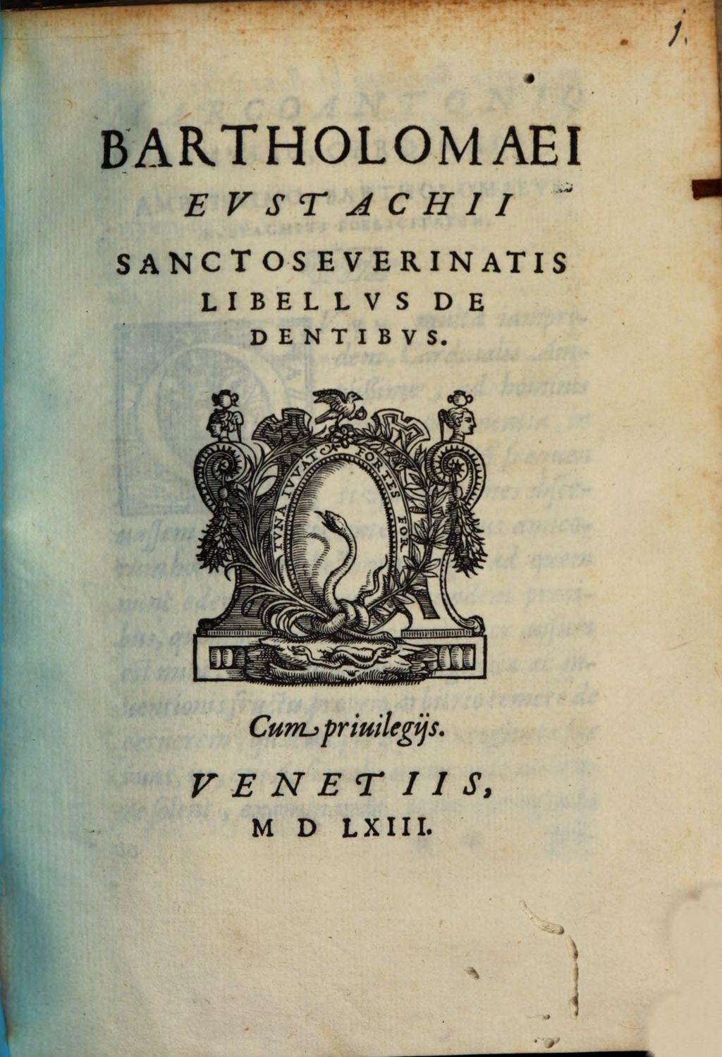 Cover of Libellus de dentibus