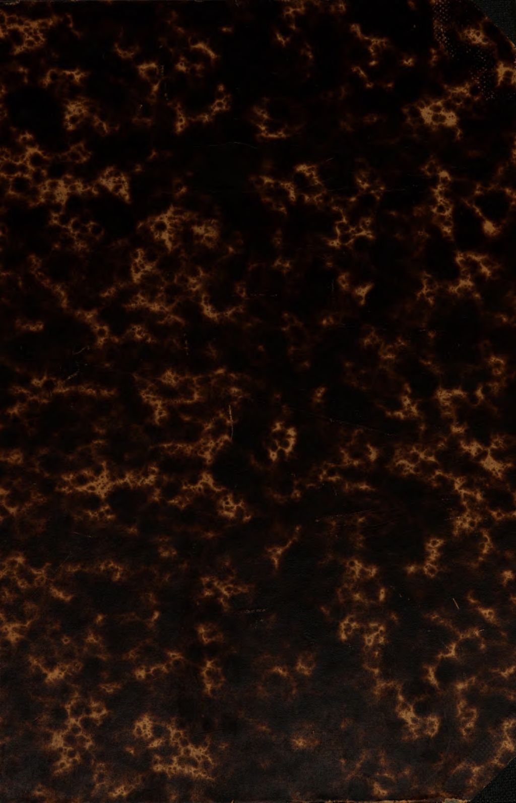 Cover of Marci Maruli Evangelistarium