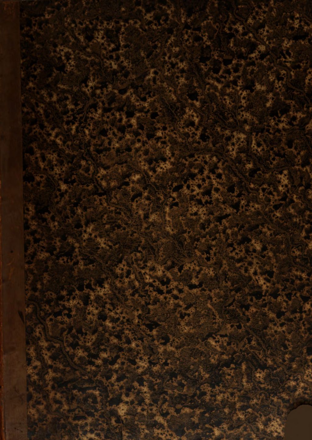 Cover of Rituale copto-arabicum