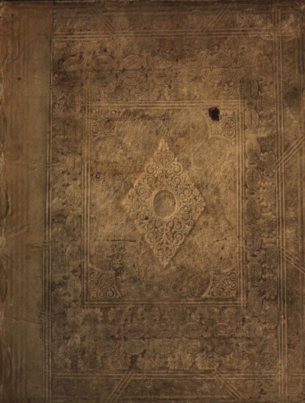 Cover of Gabrielis Falopii Hochberühmten Medici zu Padua in Italien Neu eröffnete vortreffliche und rare Geheimnisse der Natur