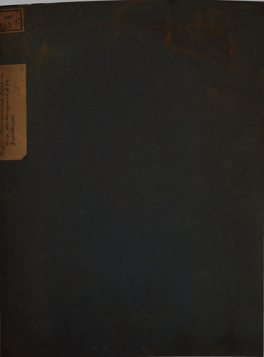 Cover of Des animaux disparus de la Martinique et de la Guadeloupe depuis notre établissement dan ces îles