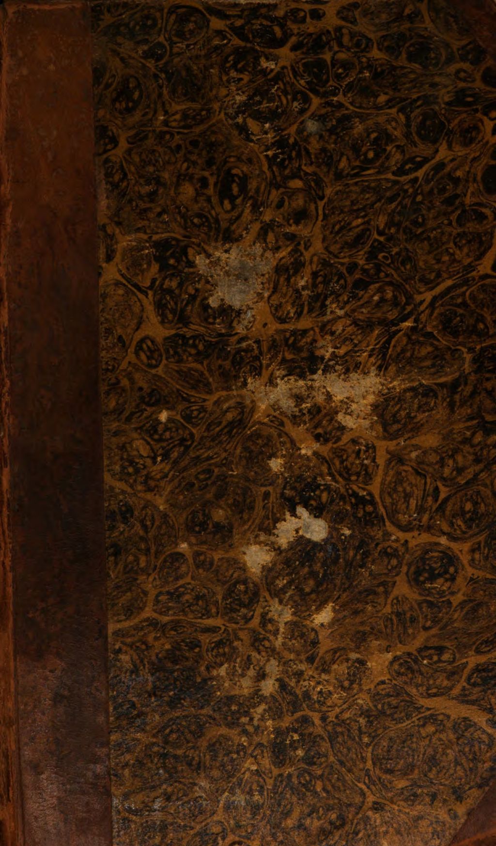 Cover of Euripidu Dramata. 2, Andromacha. Electra. Hercules furens. Bacchae. Hecuba. Phoenissae. Orestes. Iphigeniae. Cyclops