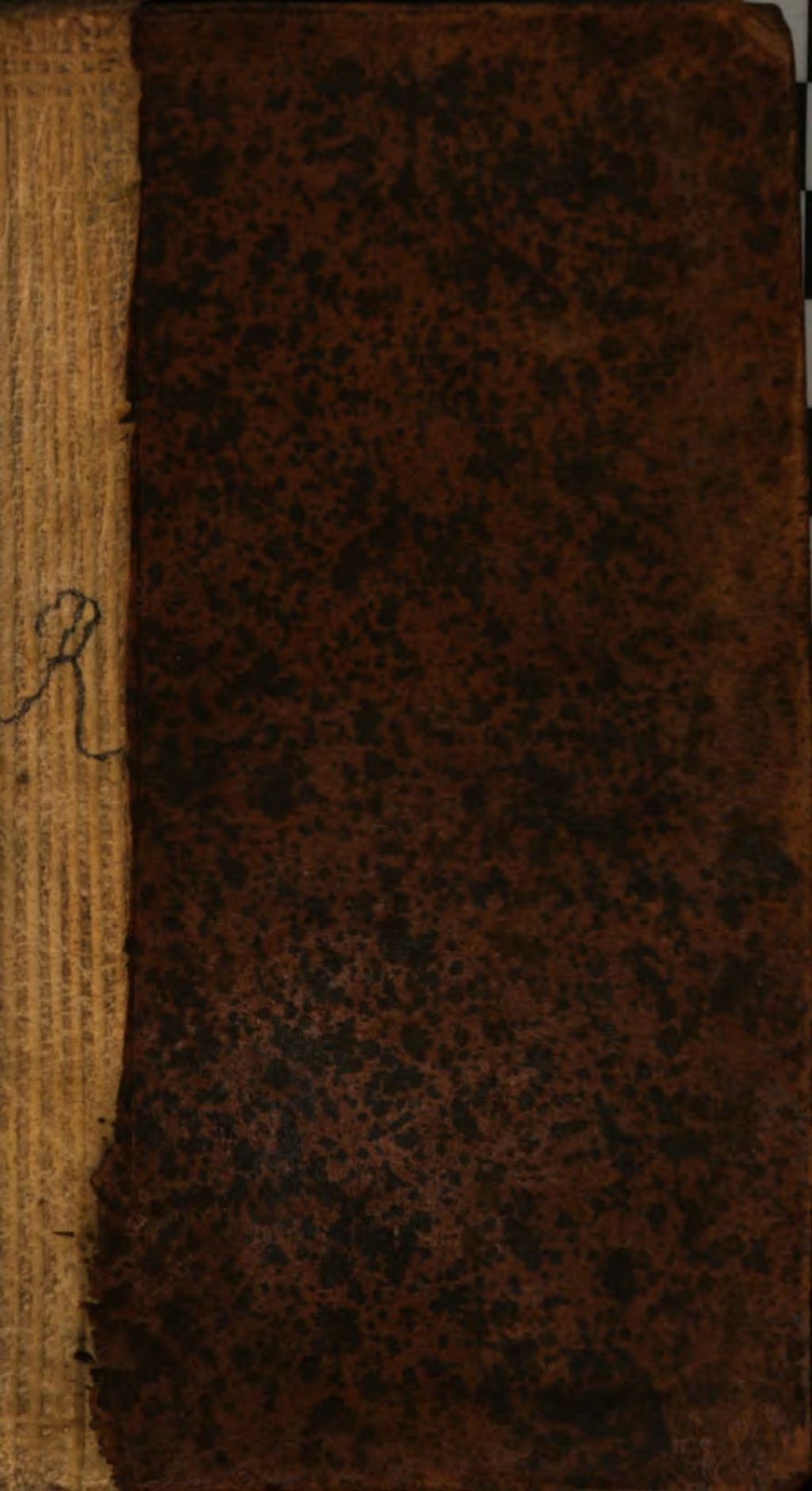 Cover of Trattato della sovrana medicina curativa universale ... detta Rosa solis