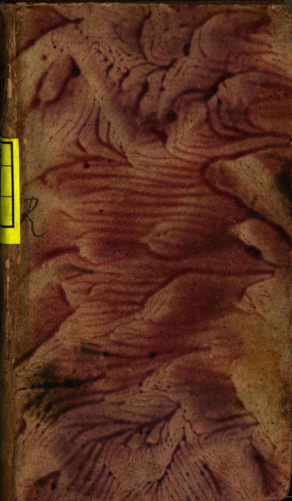 Cover of Filum Ariadnes, das ist, Newer chymischer Discurs von den grausamen Irrwegen der Alchymisten