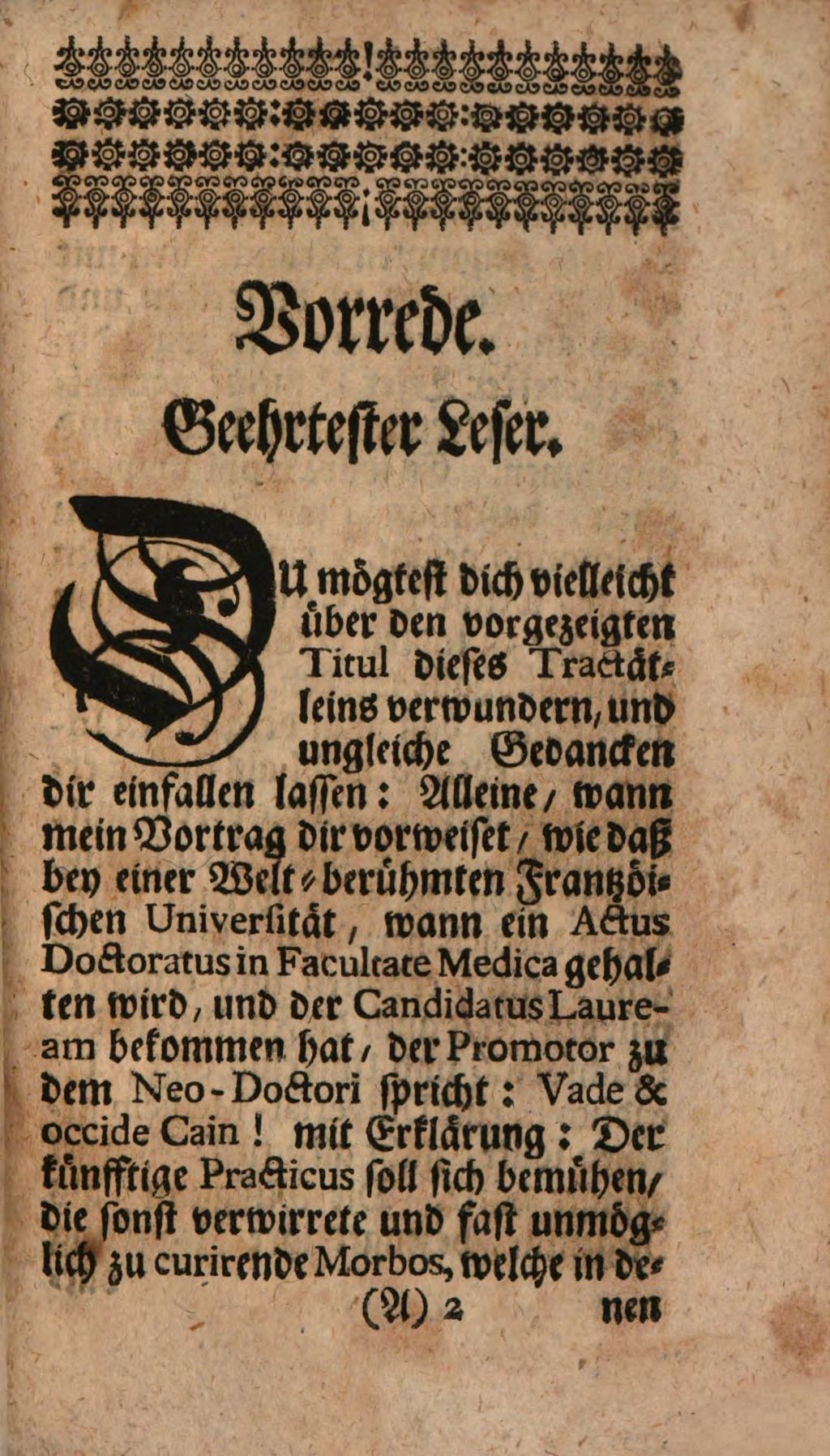 Cover of D. Joh. Christoph. von Ettner und Eittritz, Röm. Käyserl. und Königl. Cathol. Majest. Raths, Vade Et Occide Cain, Oder: Gehe und schlage den Cain todt