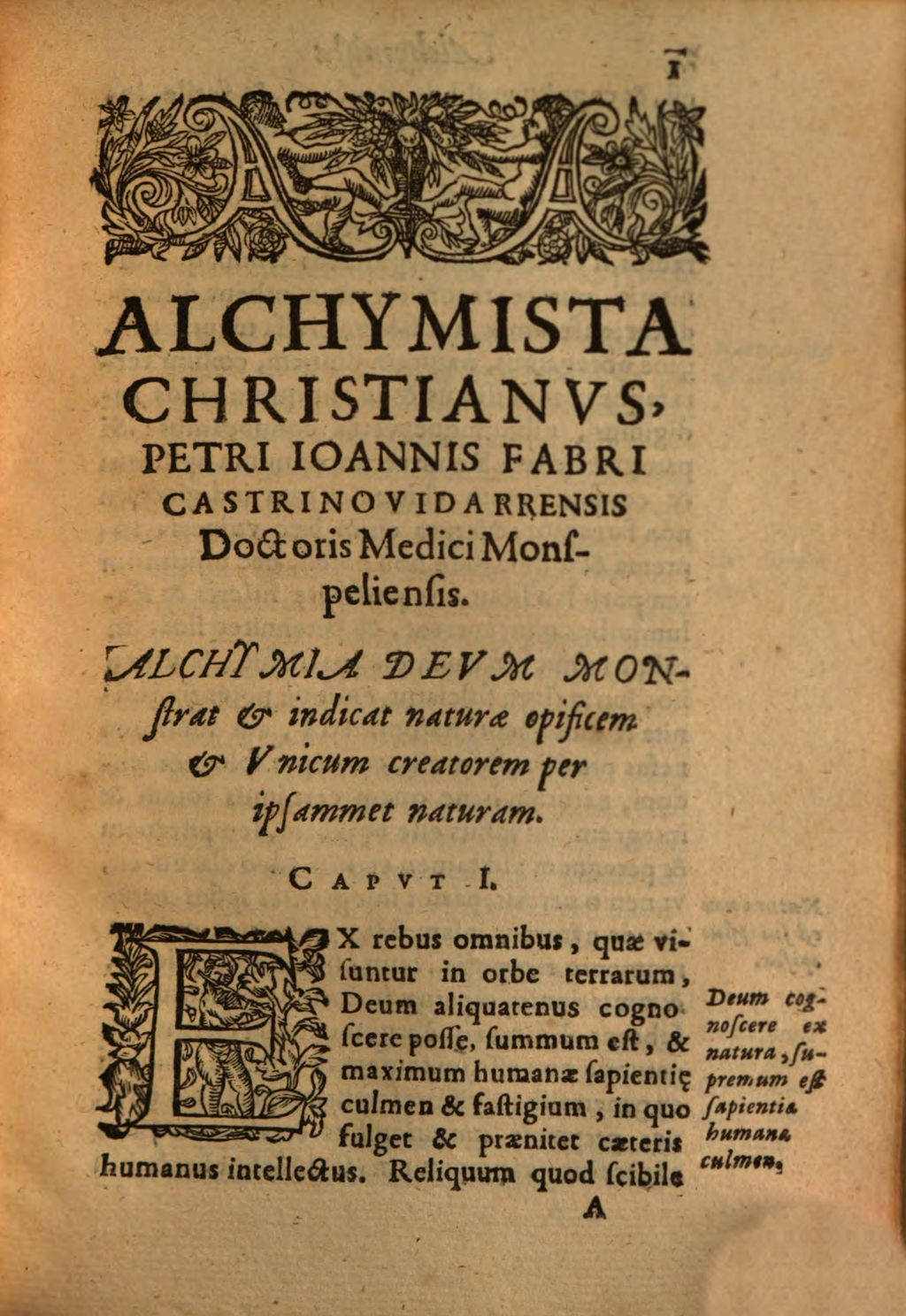 Cover of Alchymista christianus