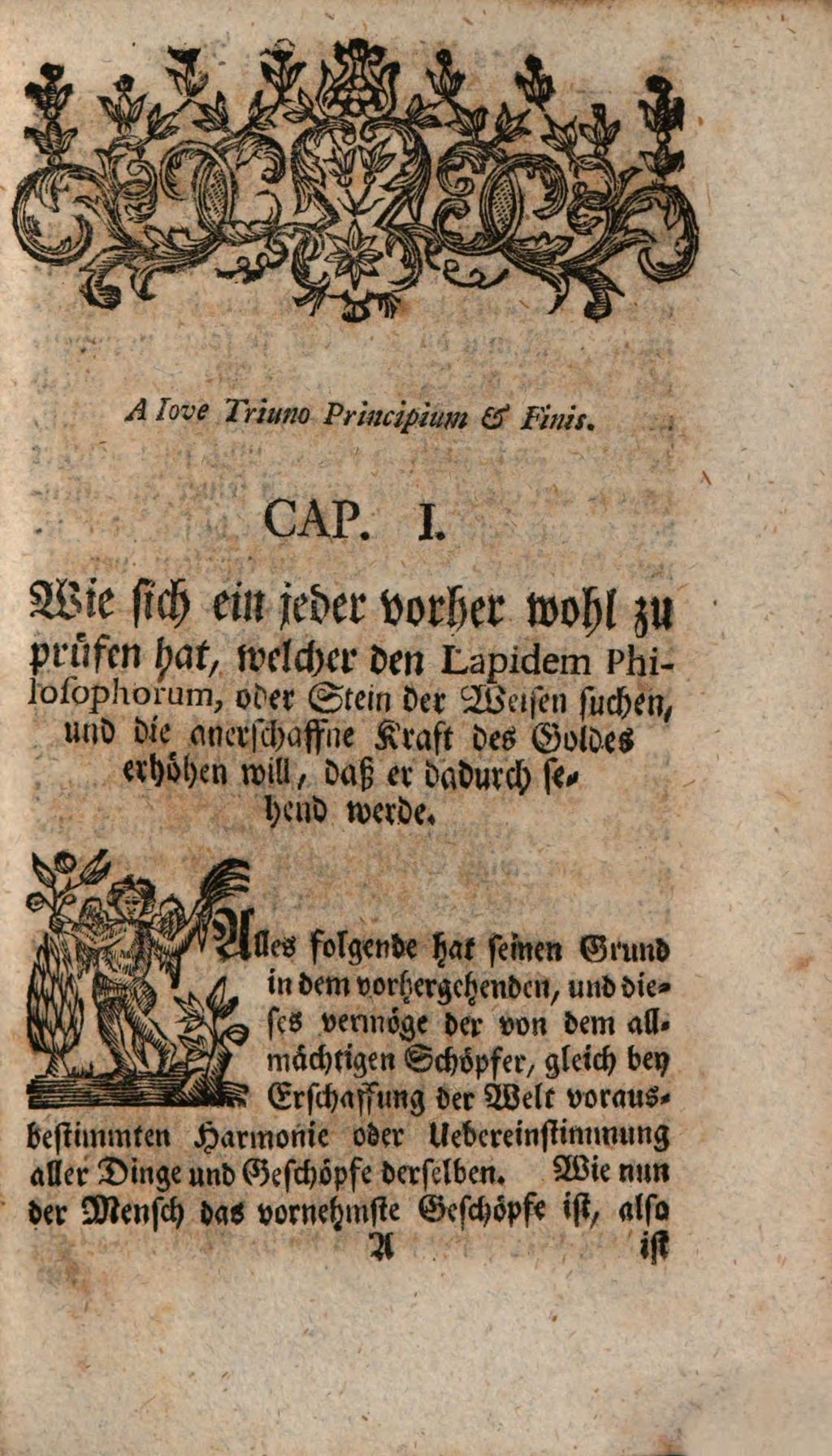 Cover of Das philosophische Auge in der Chymie, den so lange von den allermeisten in Blindheit des Verstandes vergeblich gesuchten Lapidem Philosophorvm oder Stein der Weisen zu sehen, und so viel leichter zu finden
