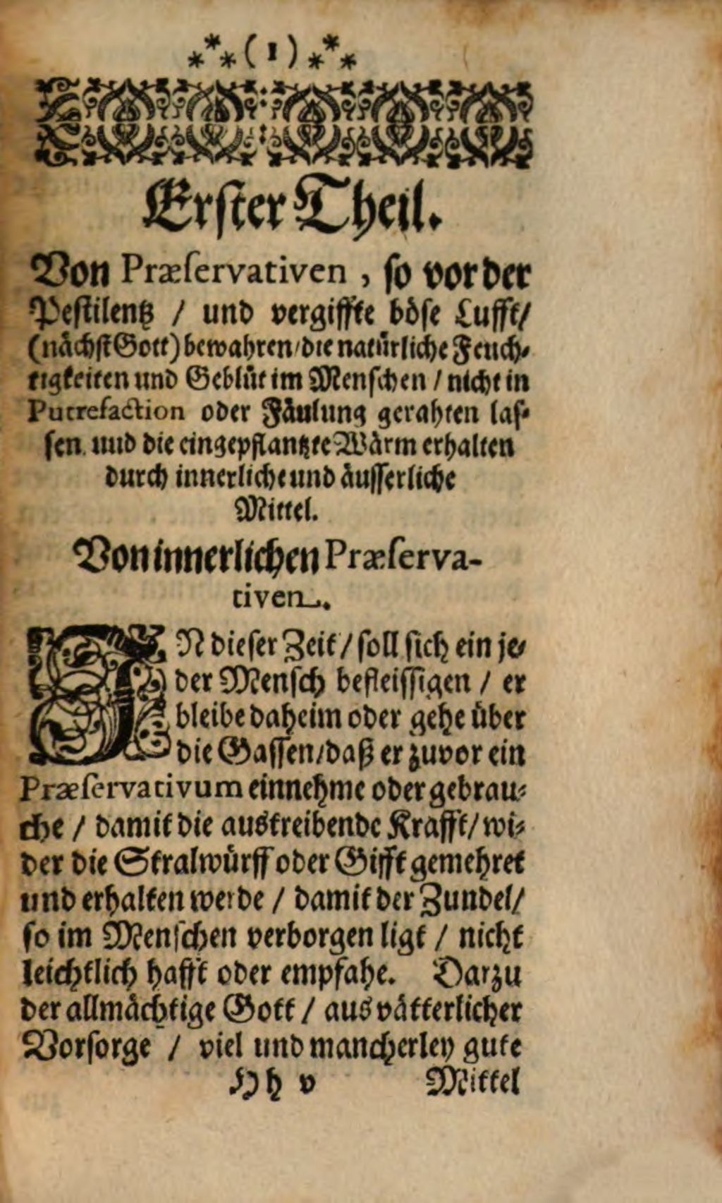 Cover of Vincedoxicum