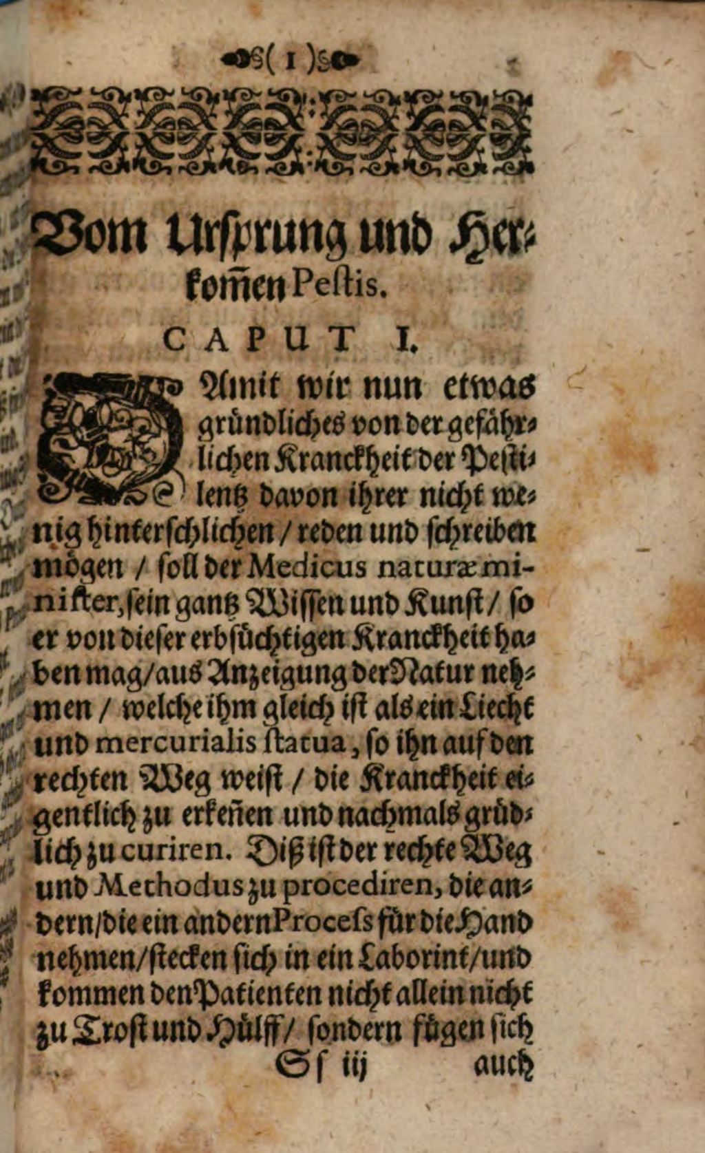 Cover of Kurtzer und warhaffter Bericht Von der gefährlichen Kranckheit der Pestilentz