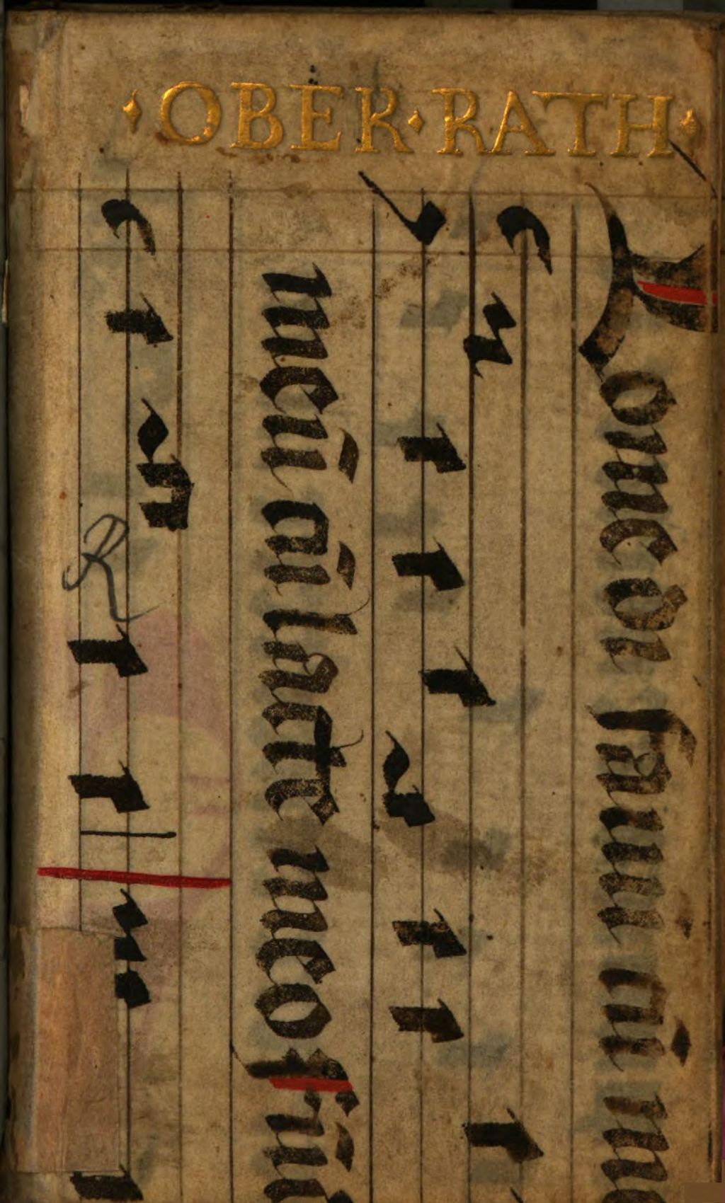 Cover of Ottonis Tachenii Hippocrates Chimicus