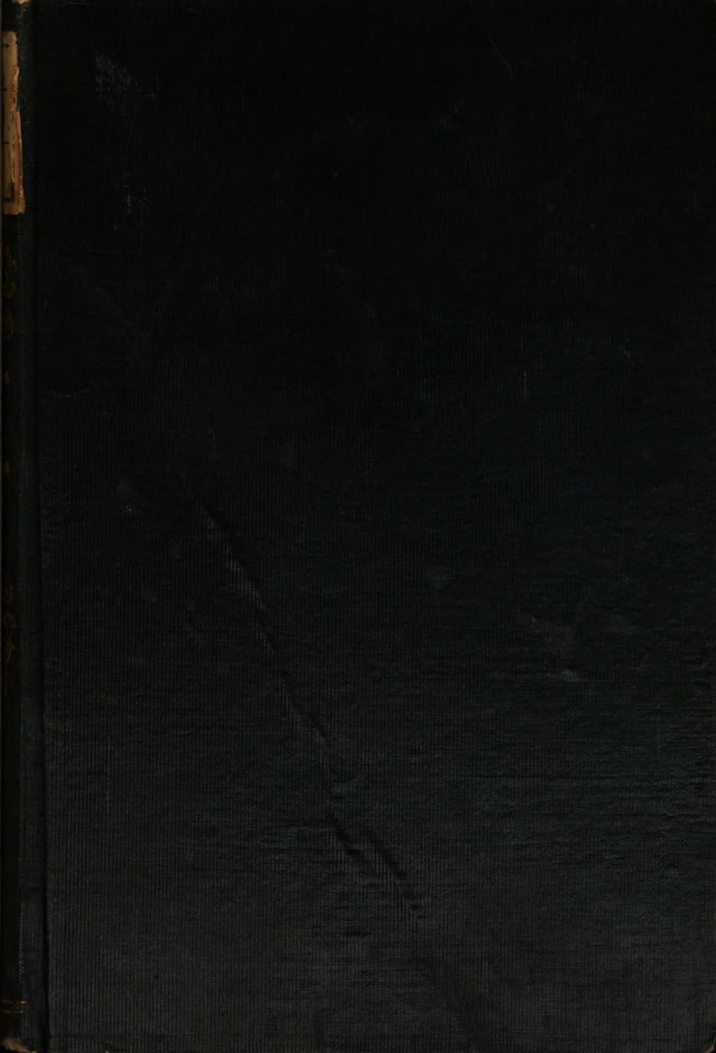 Cover of Leben im fernen Westen