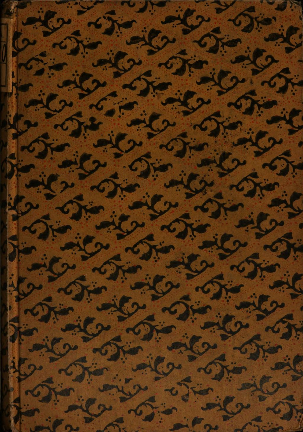 Cover of Wanderungen durch Südamerikanische Republiken