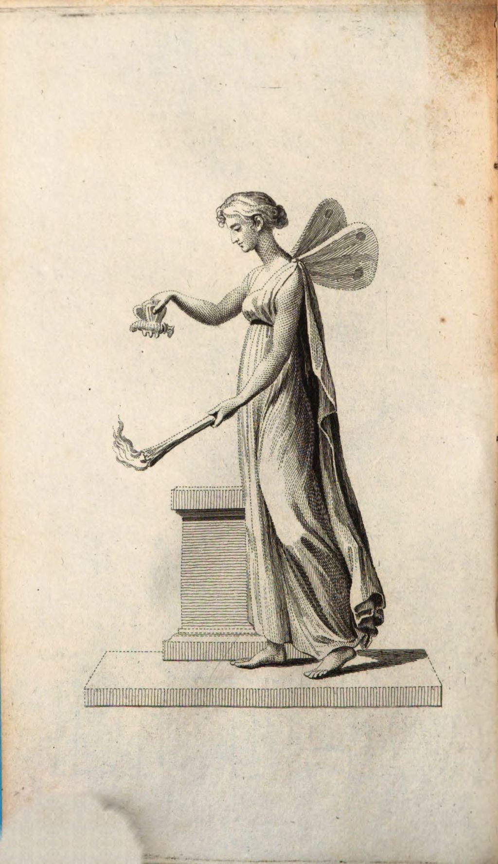 Cover of Griechische und römische Mythen