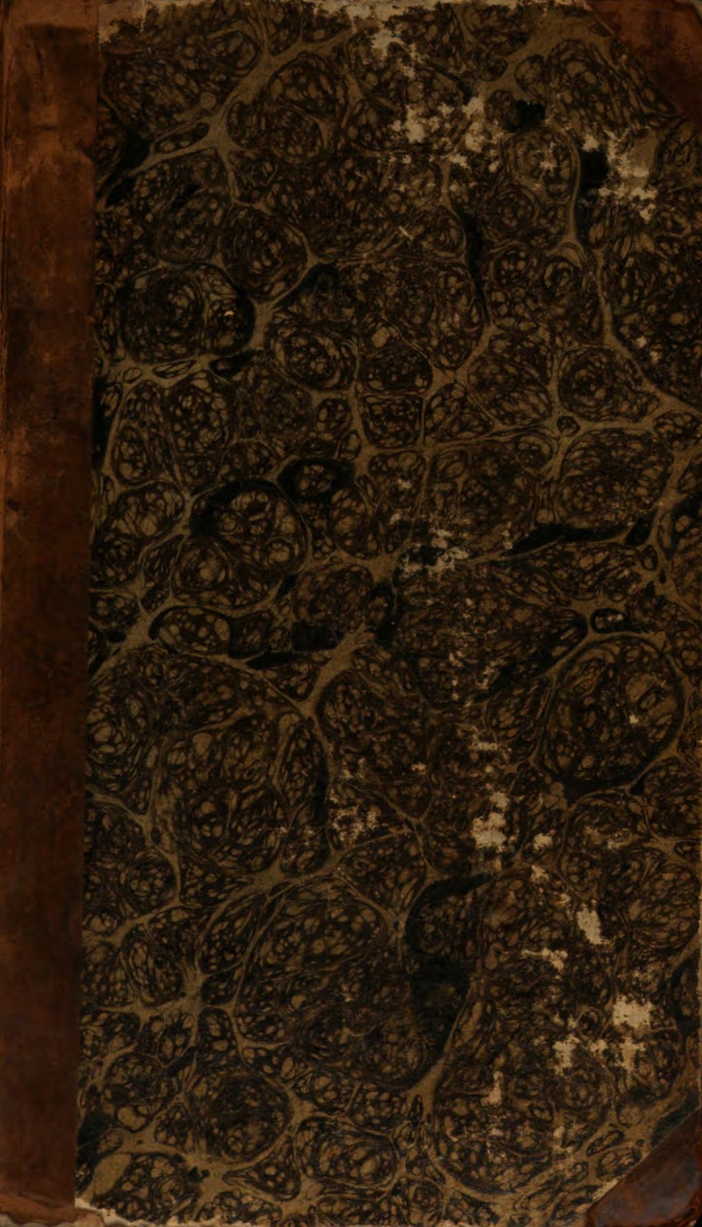 Cover of Das Urbild der Menschheit