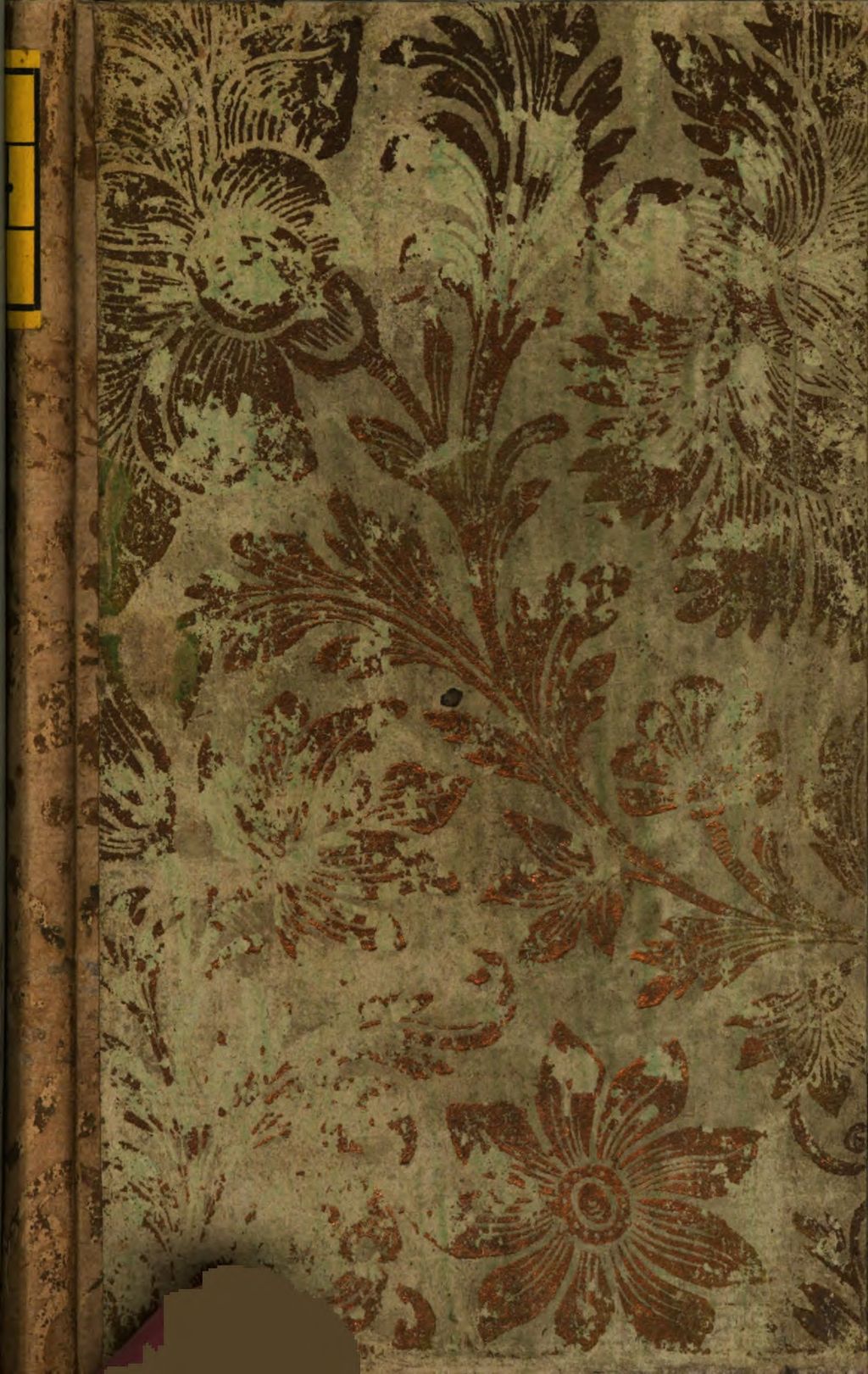 Cover of Cultus D. Joannis Nepomuceni