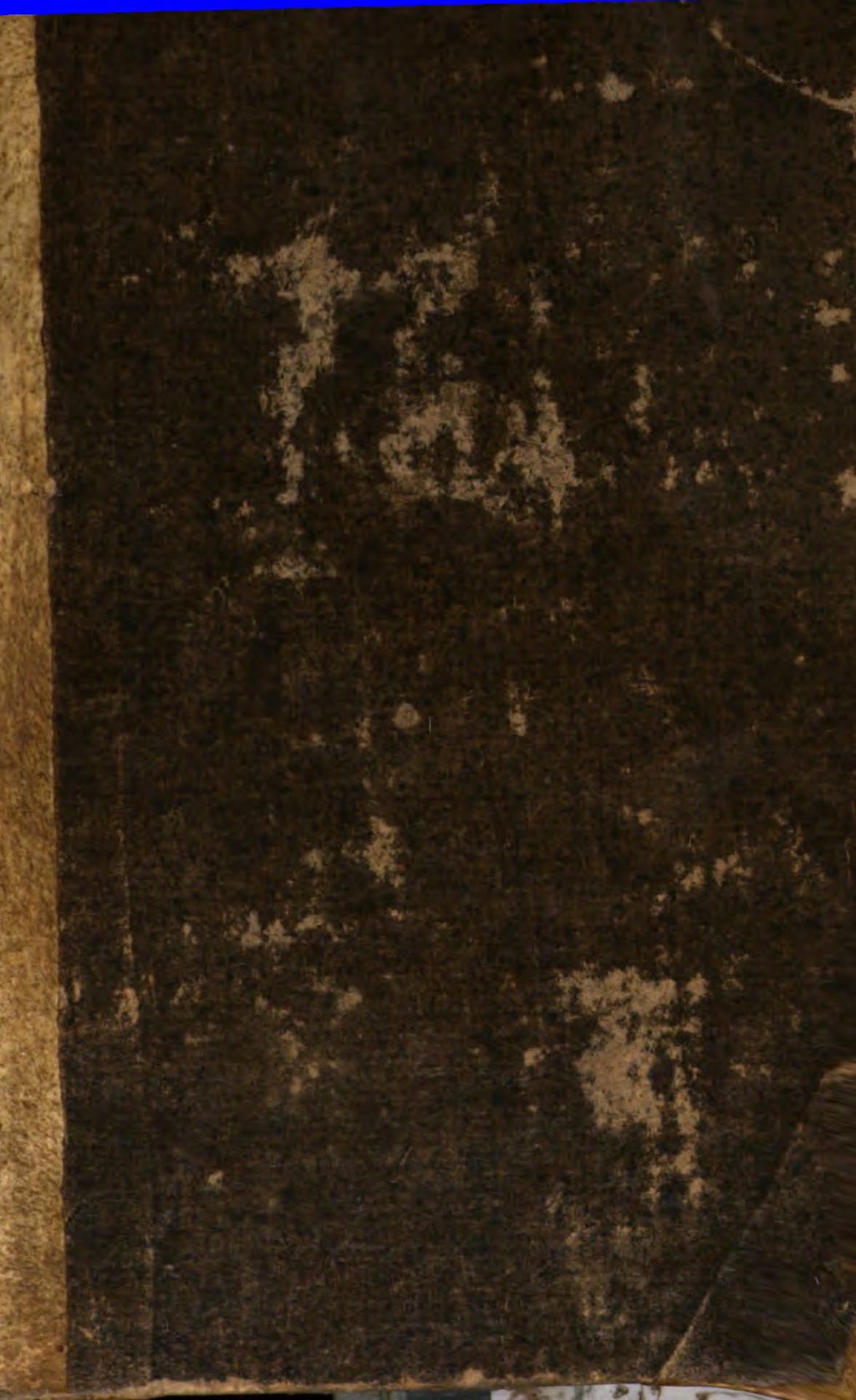 Cover of Marianisches Orakel , das ist, heilsame Räthe Mariä von dem guten Rath Ihren Pflegkindern, und Verehrern Ihres Wunderbildes zu Gennazano auch dessen durch die katholische, und allein wahrglaubende Christenheit fast allgemeinen Ebenbildern auf die in zerschiedenen Zufällen vorgetragene Anfragen ertheilt und in eine Sammlung gebracht