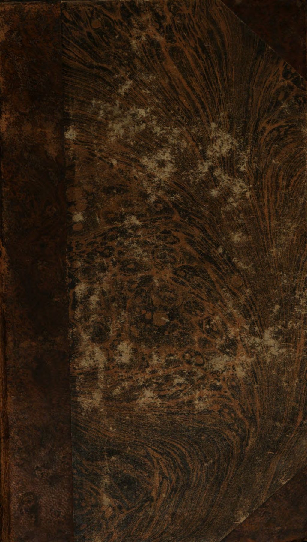 Cover of Marianisches Orakel , das ist, heilsame Räthe Mariä von dem guten Rath Ihren Pflegkindern, und Verehrern ihres Wunderbildes zu Gennazano auch dessen durch die katholische, und allein wahrglaubende Christenheit fast allgemeinen Ebenbildern
