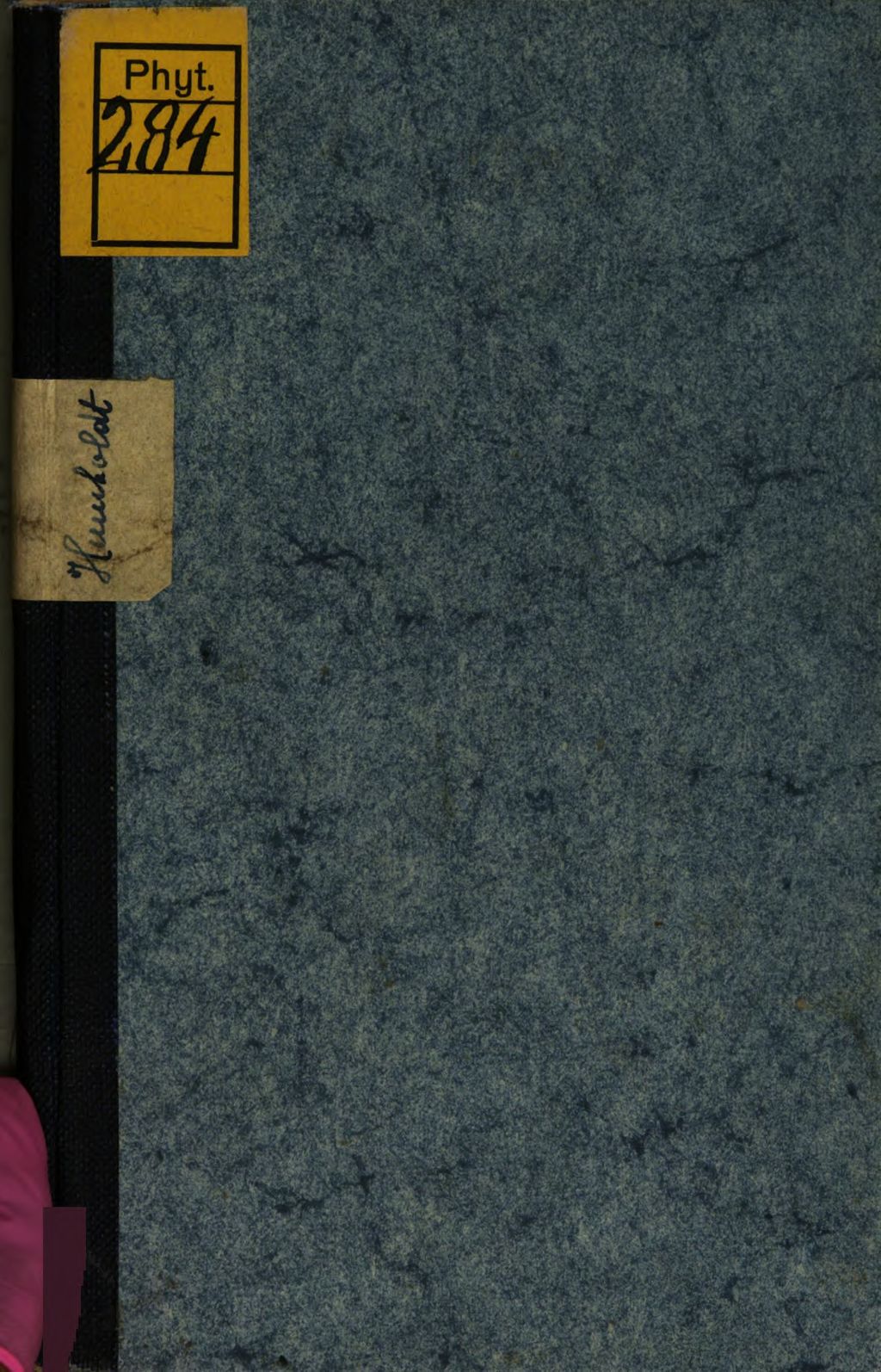 Cover of Ideen zu einer Physiognomik der Gewaechse