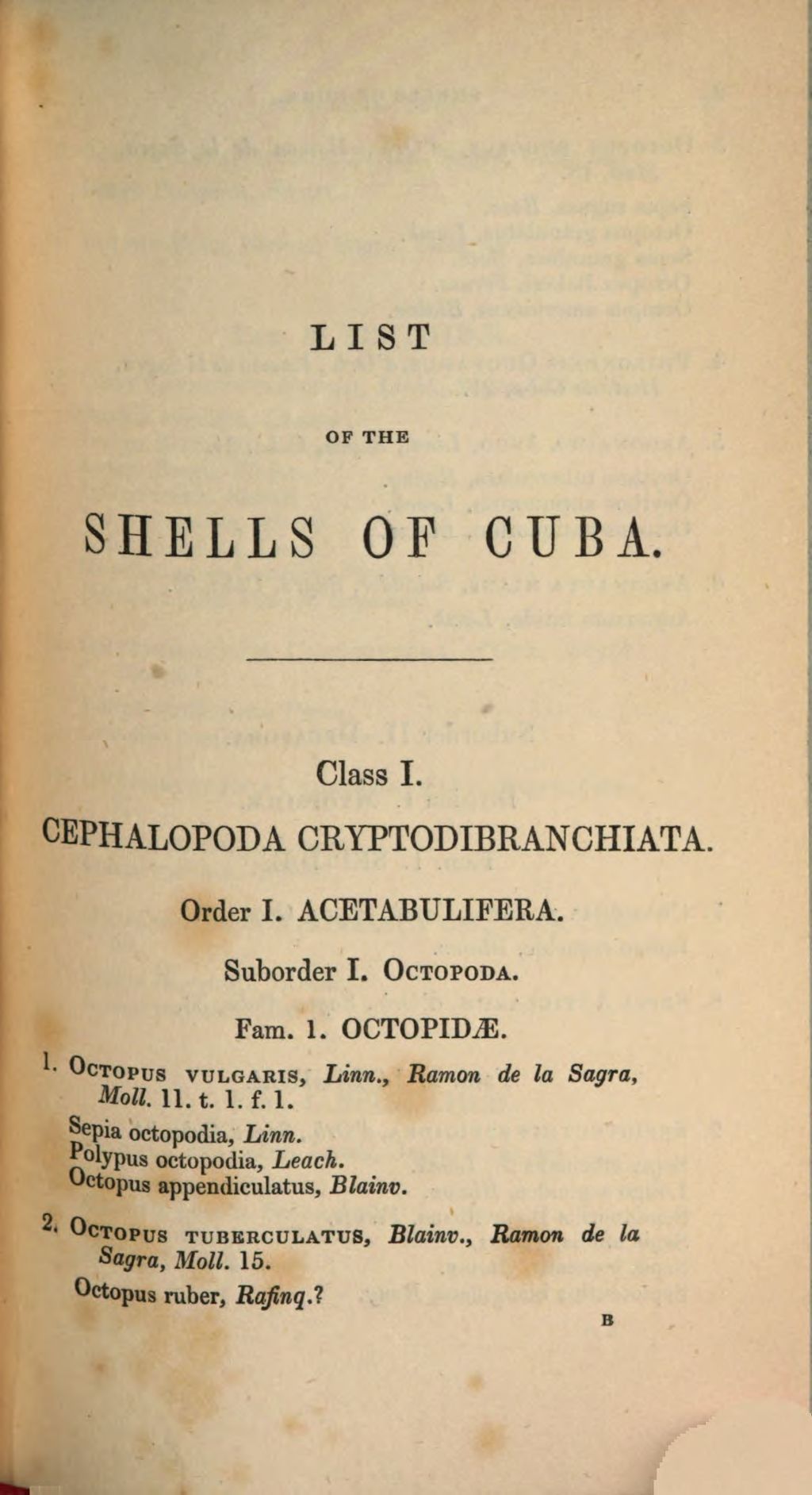 Cover of List of the Shells of the Cuba in the Collection of the British Museum