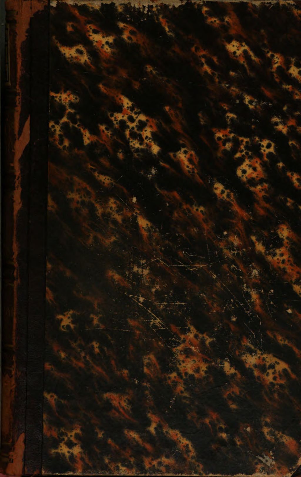 Cover of Die heiligen Schriften des Alten und Neuen Testamentes