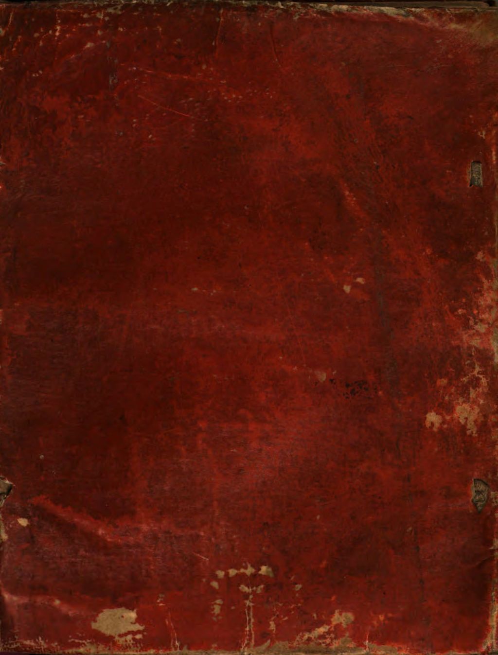 Cover of Von Zauberern, Hexen und Unholden wahrhaftiger Bericht