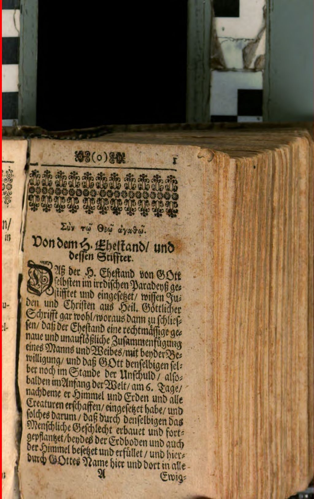 Cover of Der Aus seiner Asche Sich wieder schön verjüngende Phoenix, Oder gantz neuer Albertus Magnus