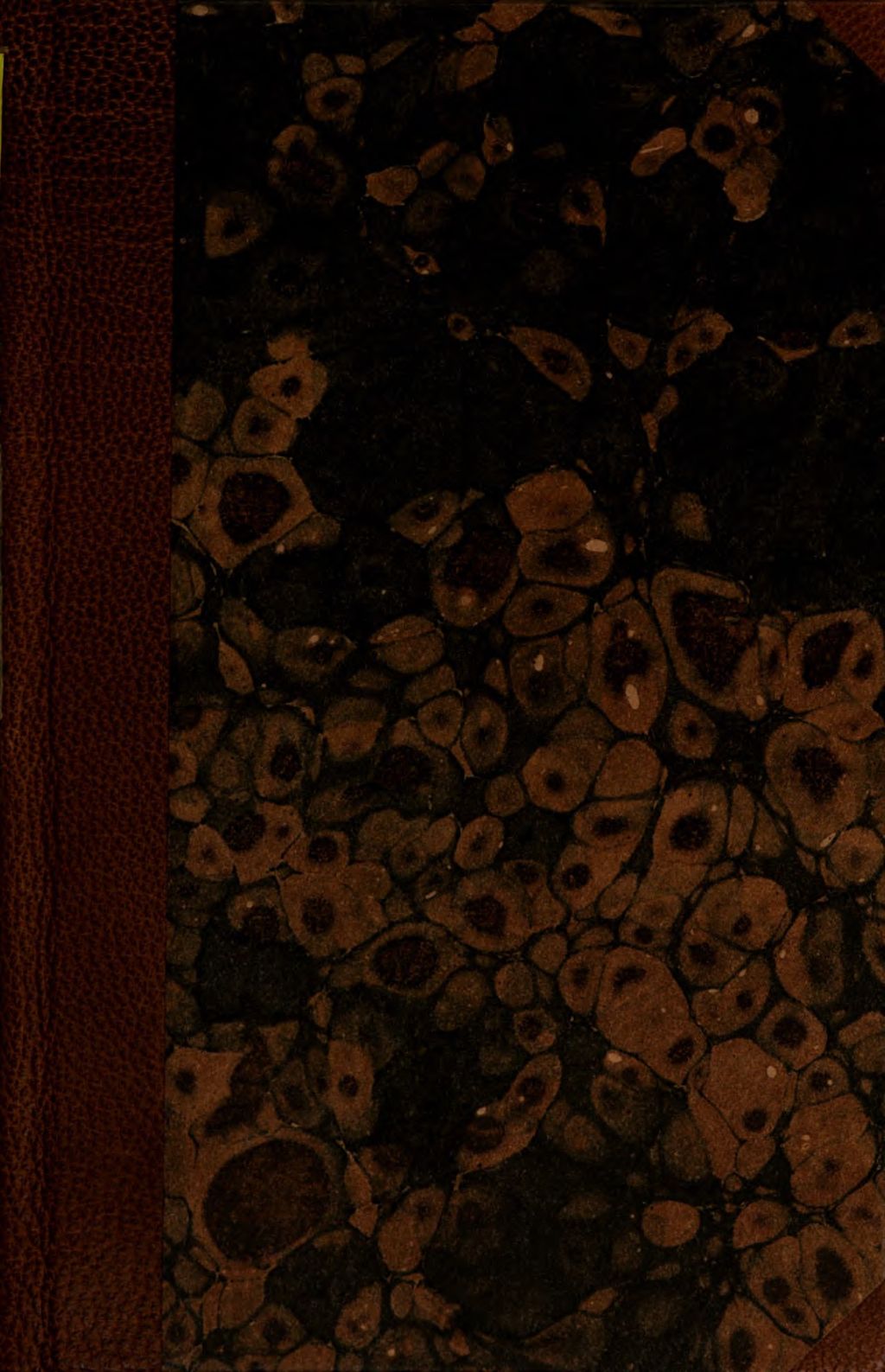 Cover of Die Geisterbeschwörer im neunzehnten Jahrhunderte, oder die Folgen des Glaubens an Magie