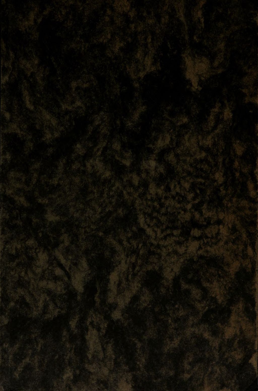 Cover of Gewissens-Frage von Processen wieder die Hexen