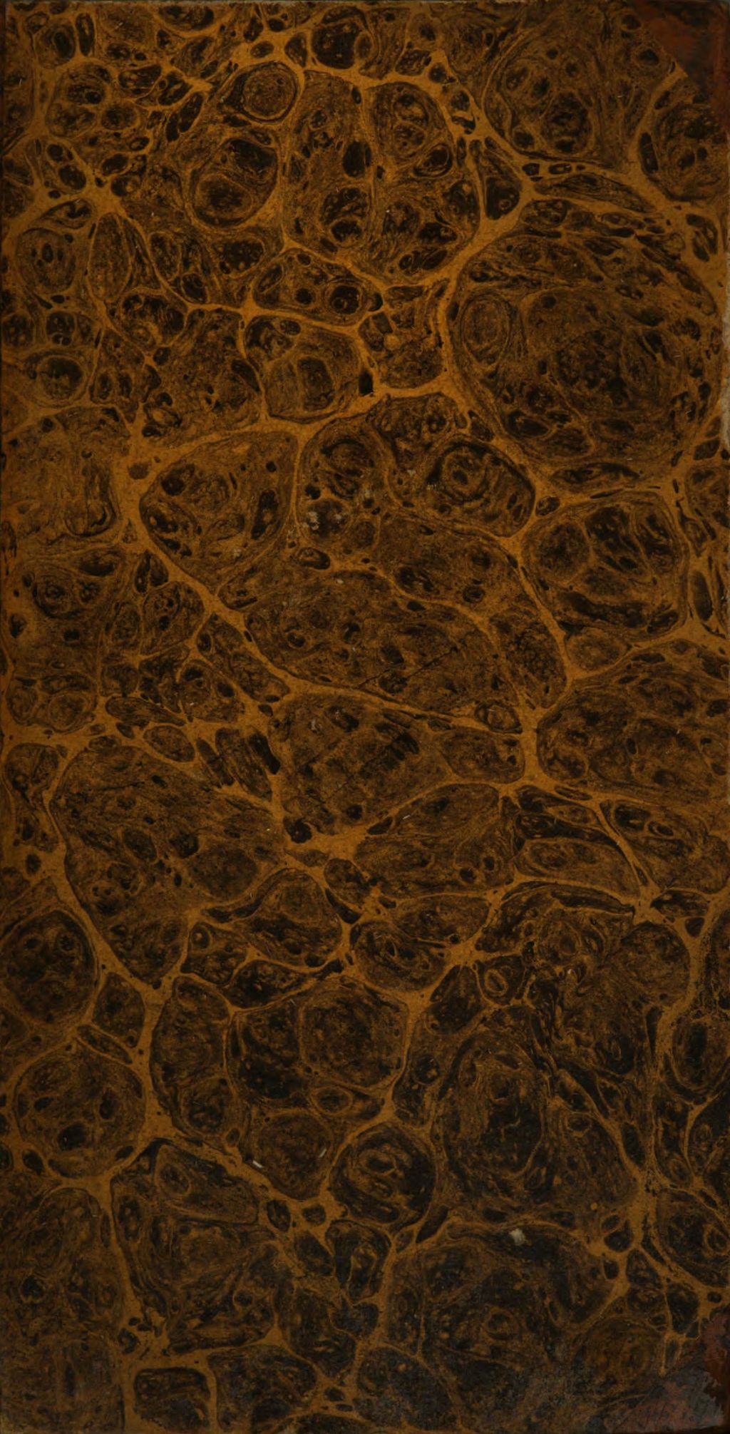 Cover of Idea Biblica Ecclesiae Dei. 4, Ecclesiae Christianae Templa, Festa, Articum In Templis Et Festis Usus