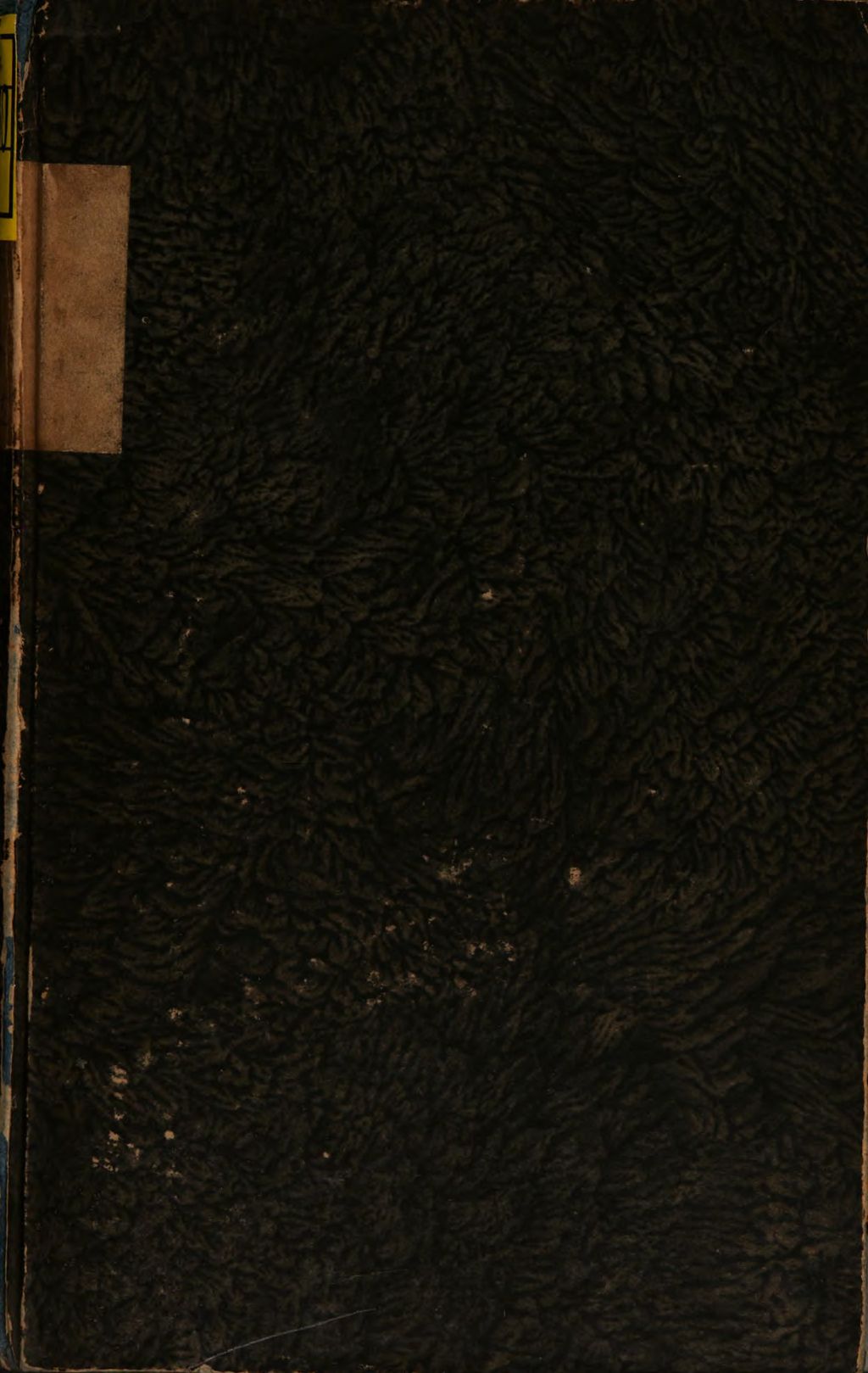 Cover of Die Geschichte und die Propheten die wahren Schlüssel zu den Pforten der Zukunft